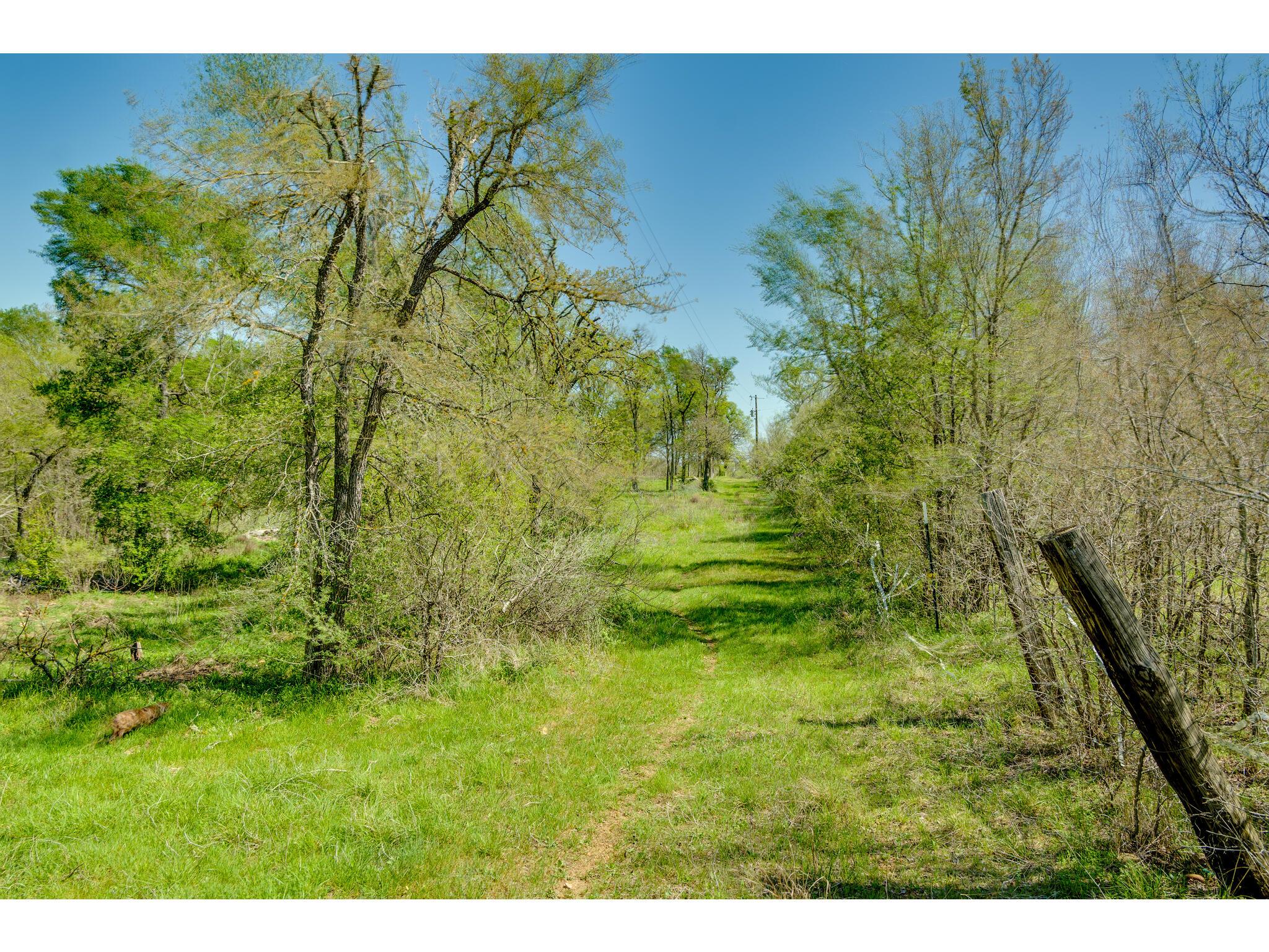 185 Settlers Trl Property Photo 13