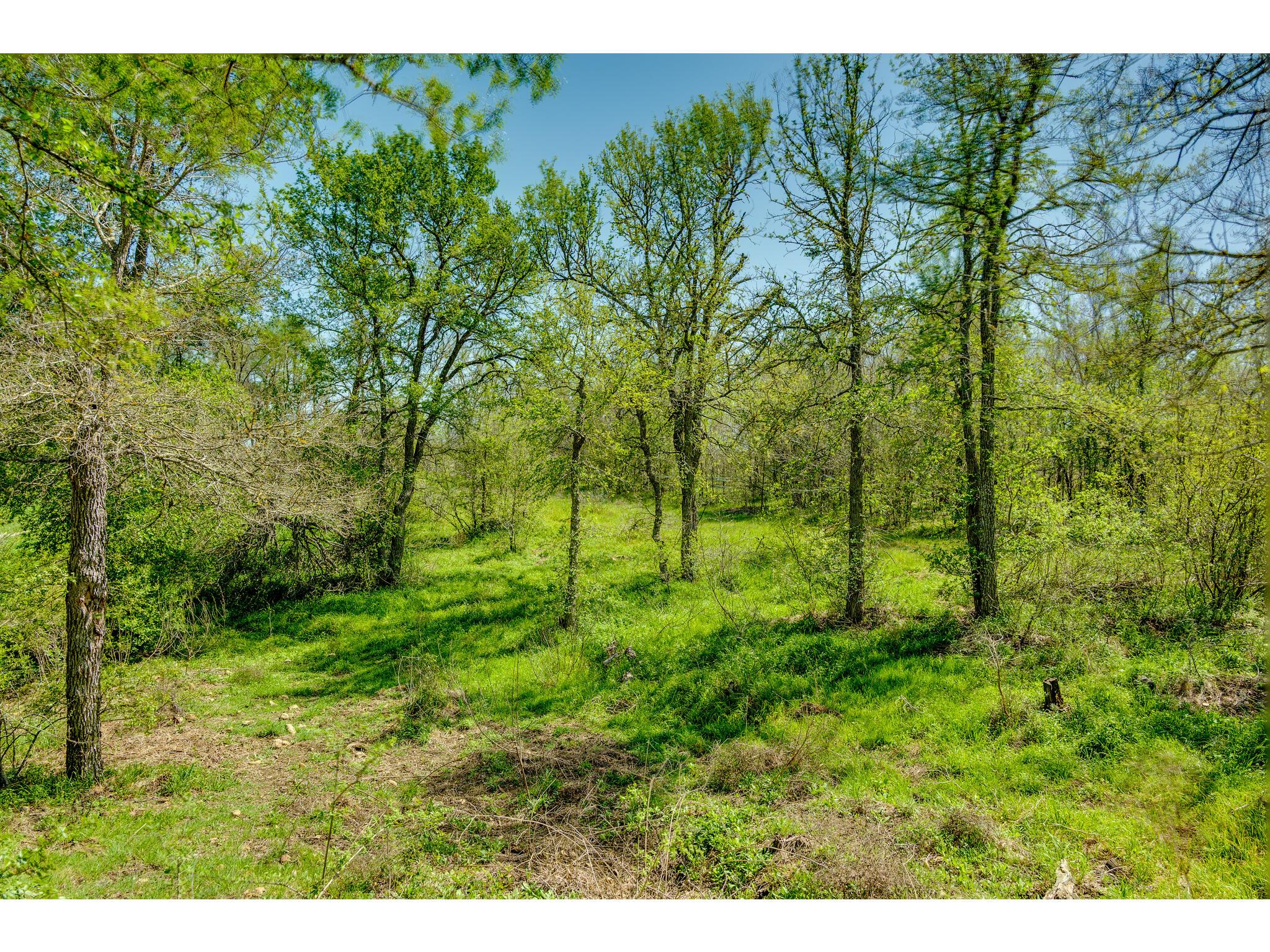 185 Settlers Trl Property Photo 19