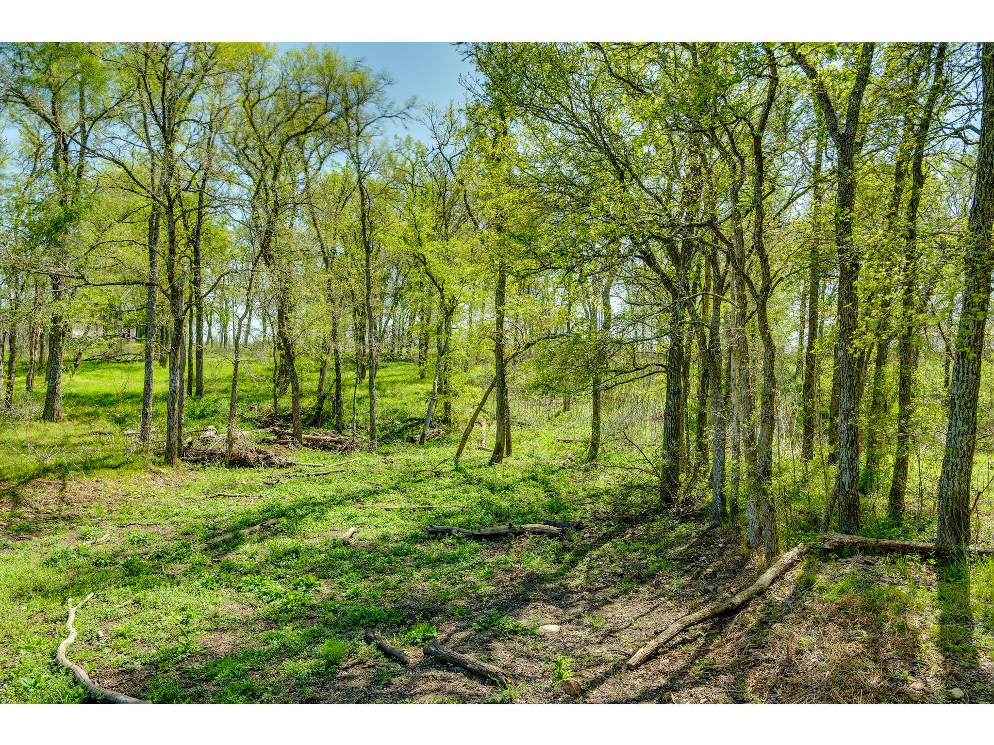 185 Settlers Trl Property Photo 20