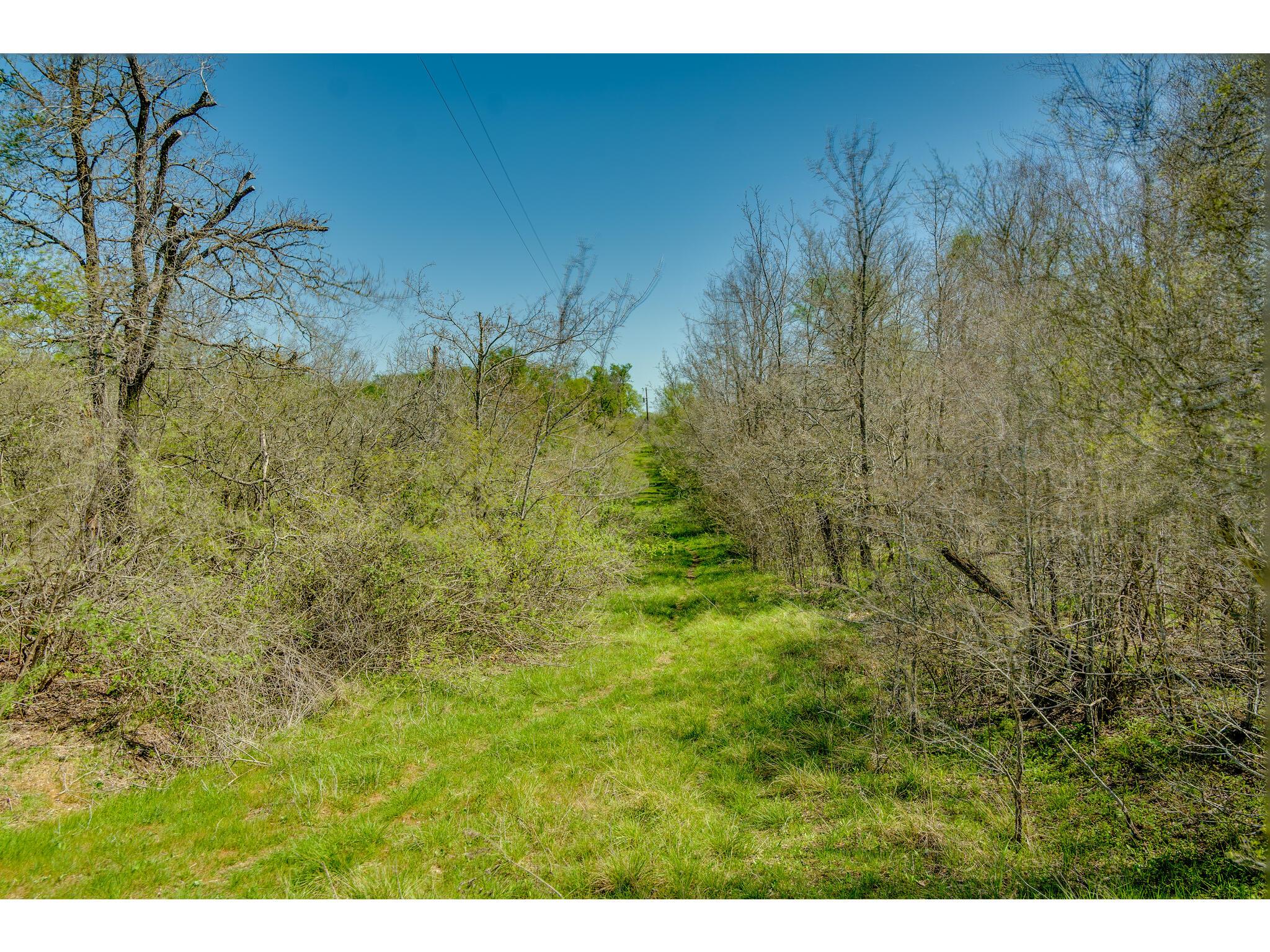 185 Settlers Trl Property Photo 21