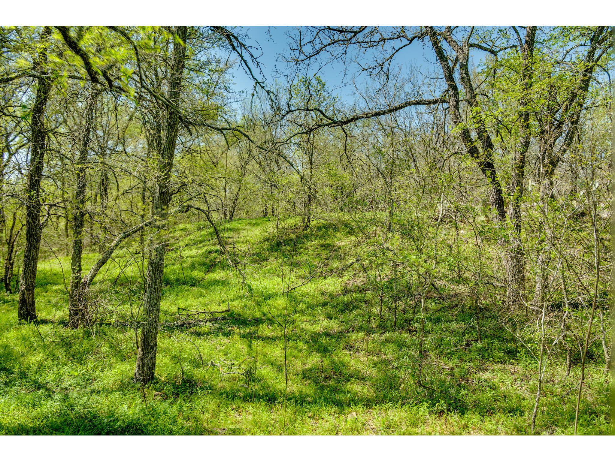 185 Settlers Trl Property Photo 22