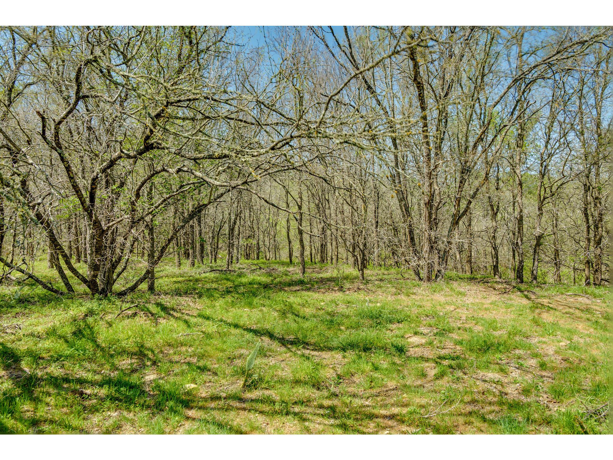 185 Settlers Trl Property Photo 23