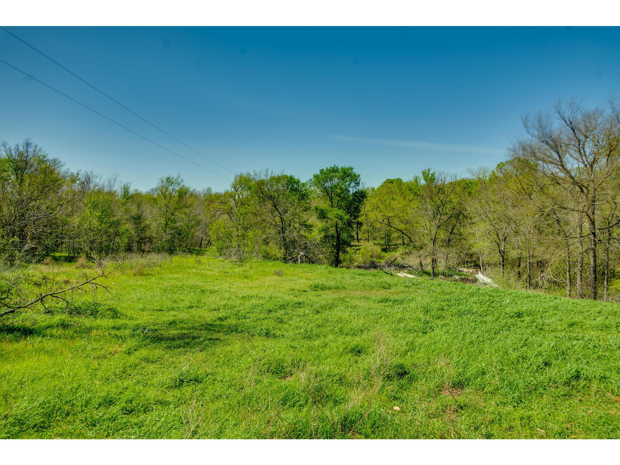 185 Settlers Trl Property Photo 28