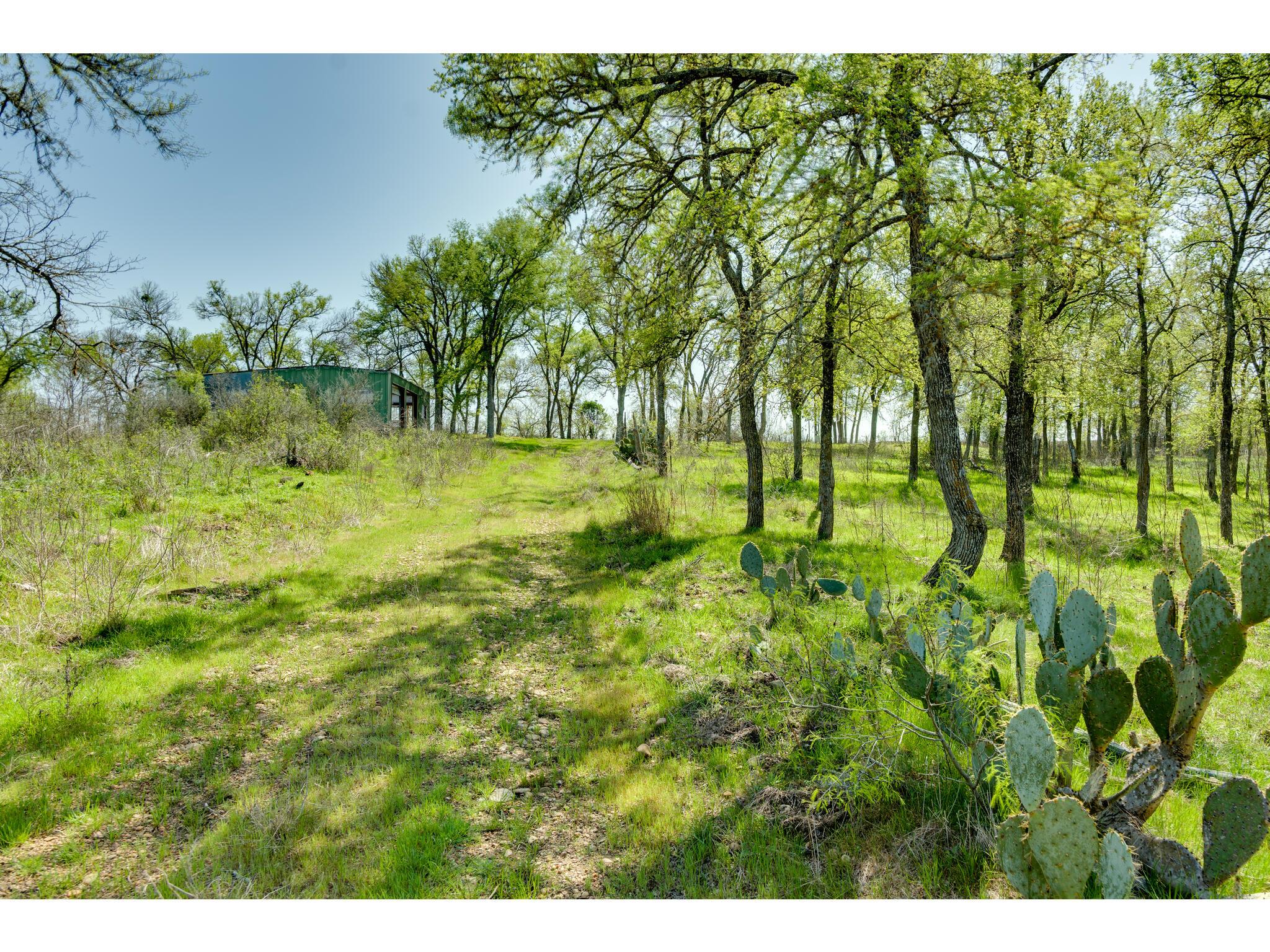185 Settlers Trl Property Photo 30