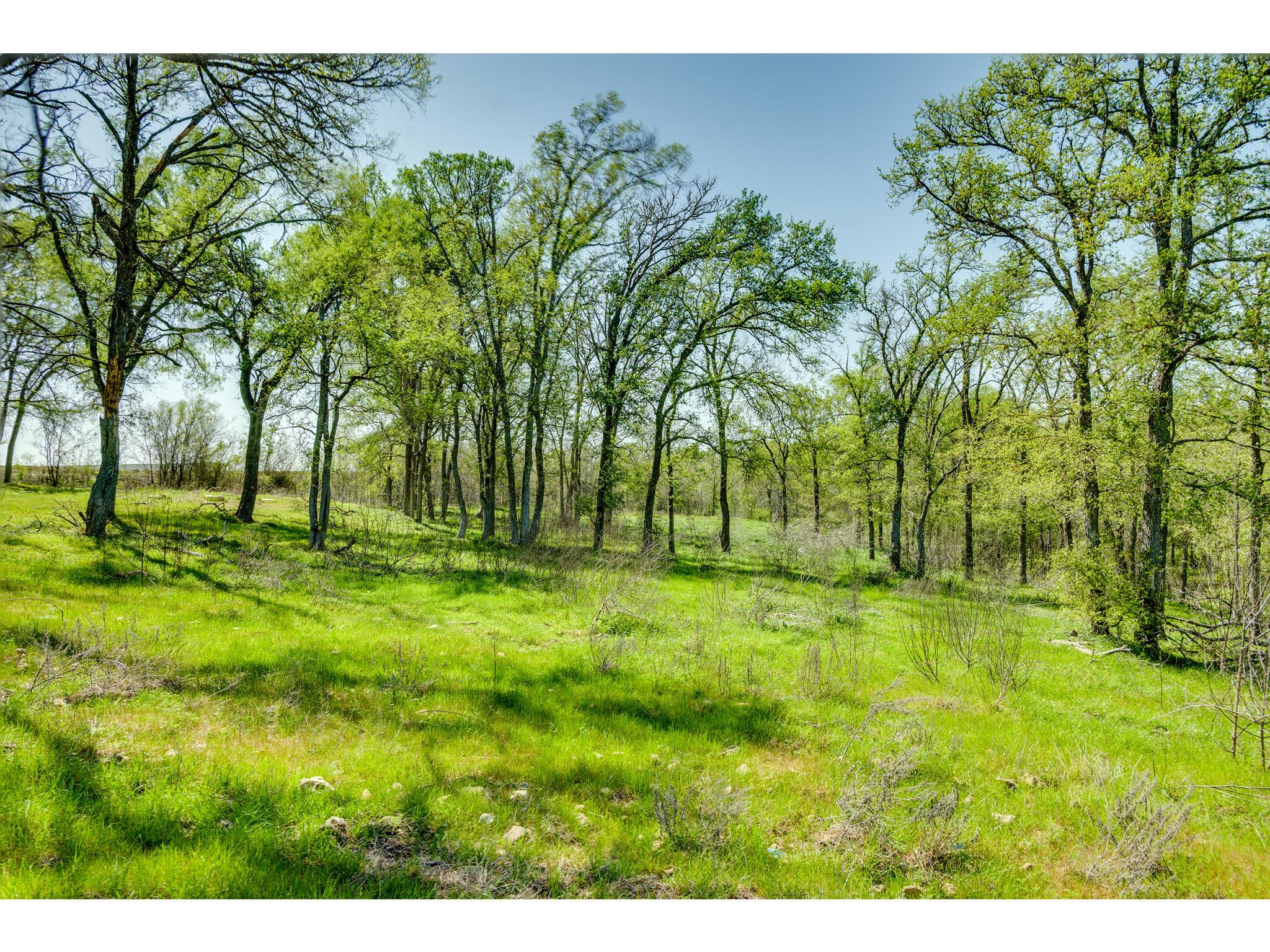 185 Settlers Trl Property Photo 31