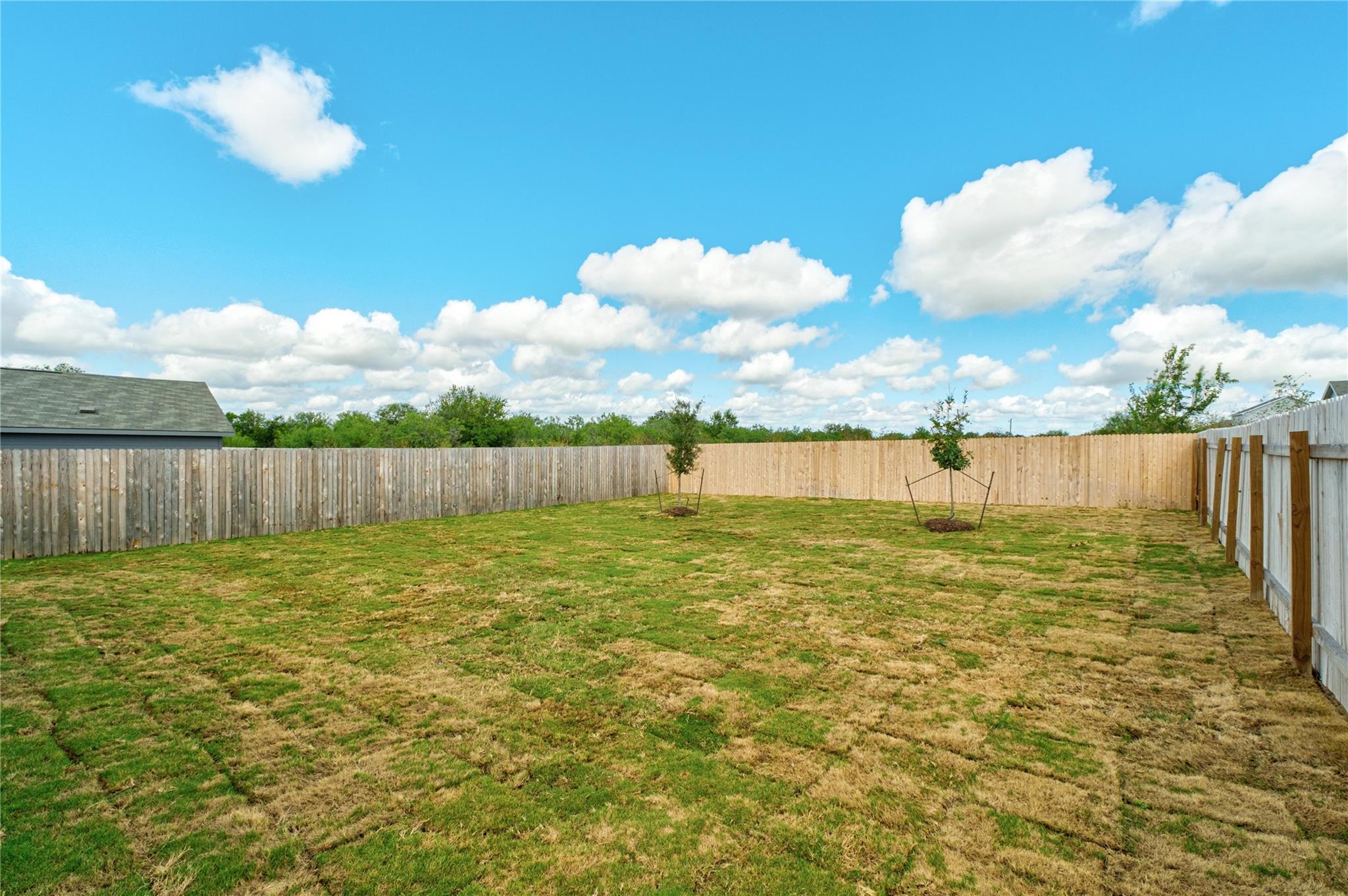 245 Pink Footed Pass Property Photo 23