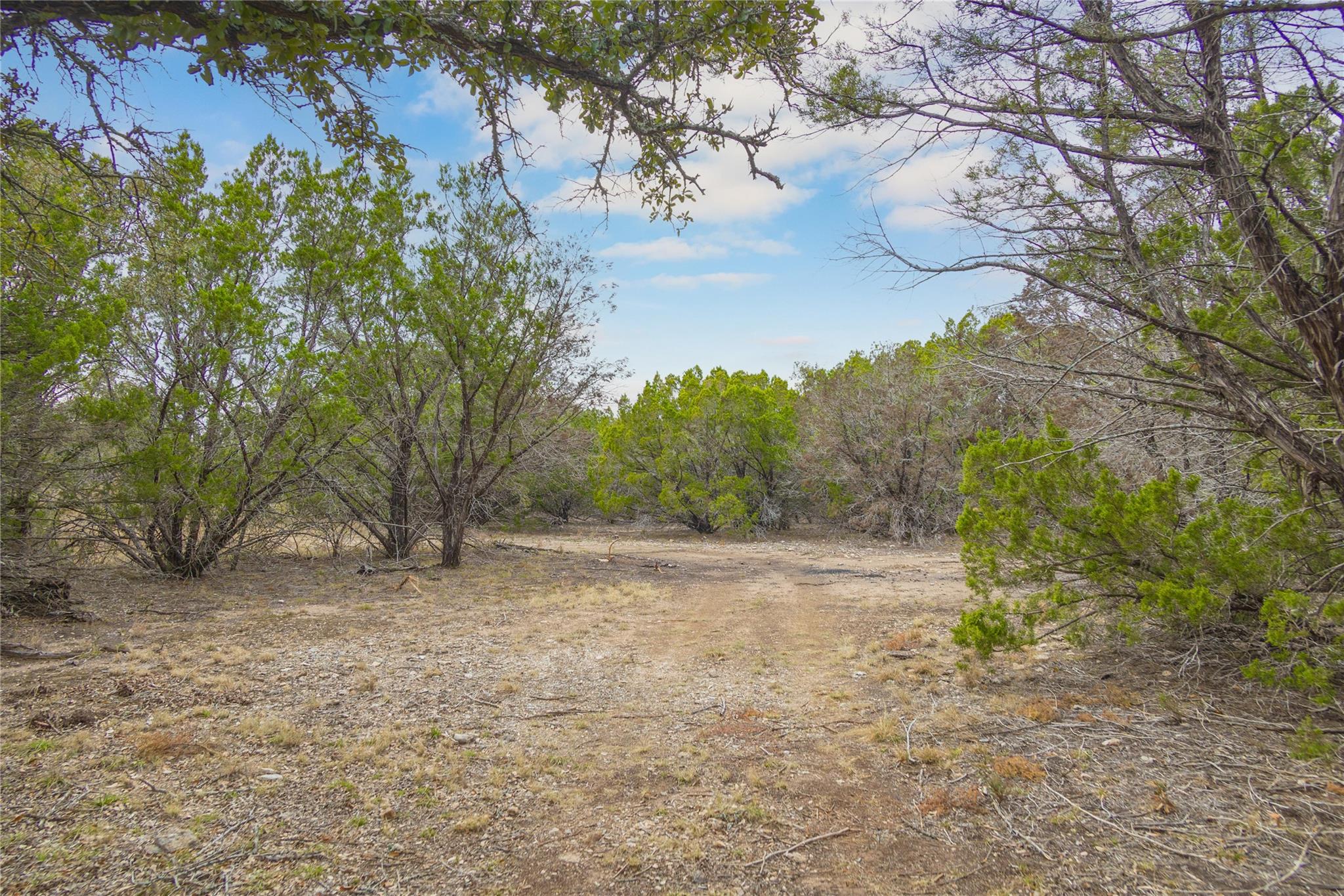 165 County Road 412 Property Photo 30