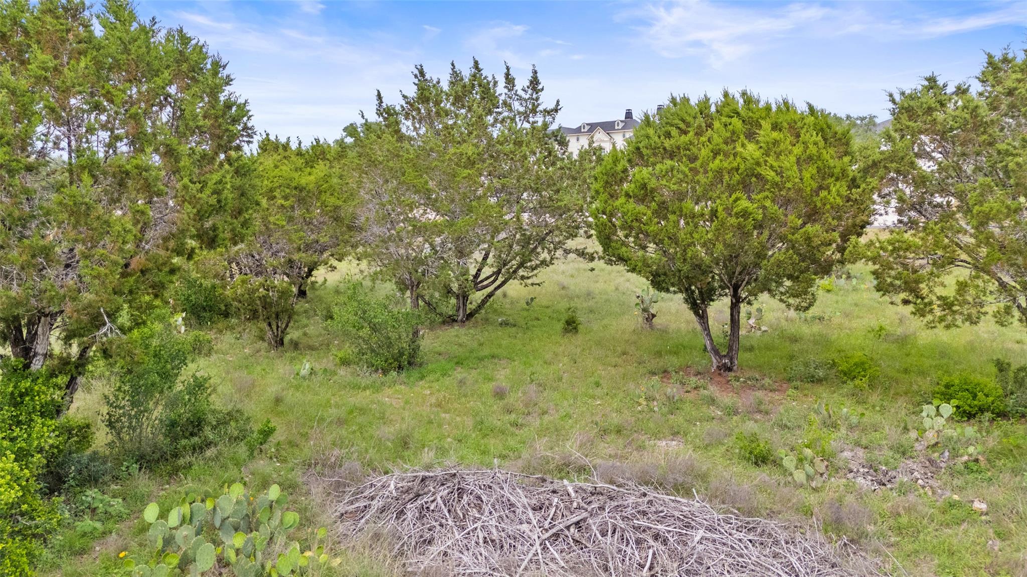 2542 Black Bear Dr Property Photo 1