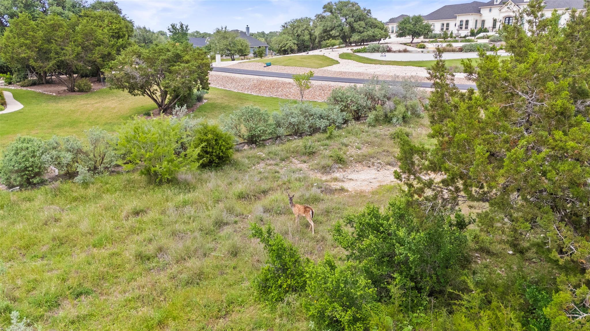 2542 Black Bear Dr Property Photo 9