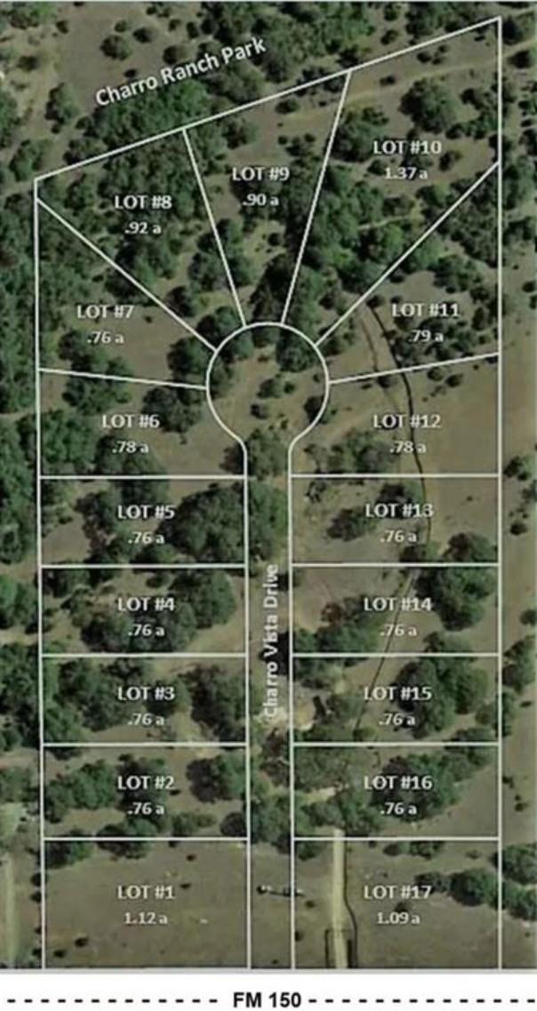 221 Charro Vista Dr Property Photo 4