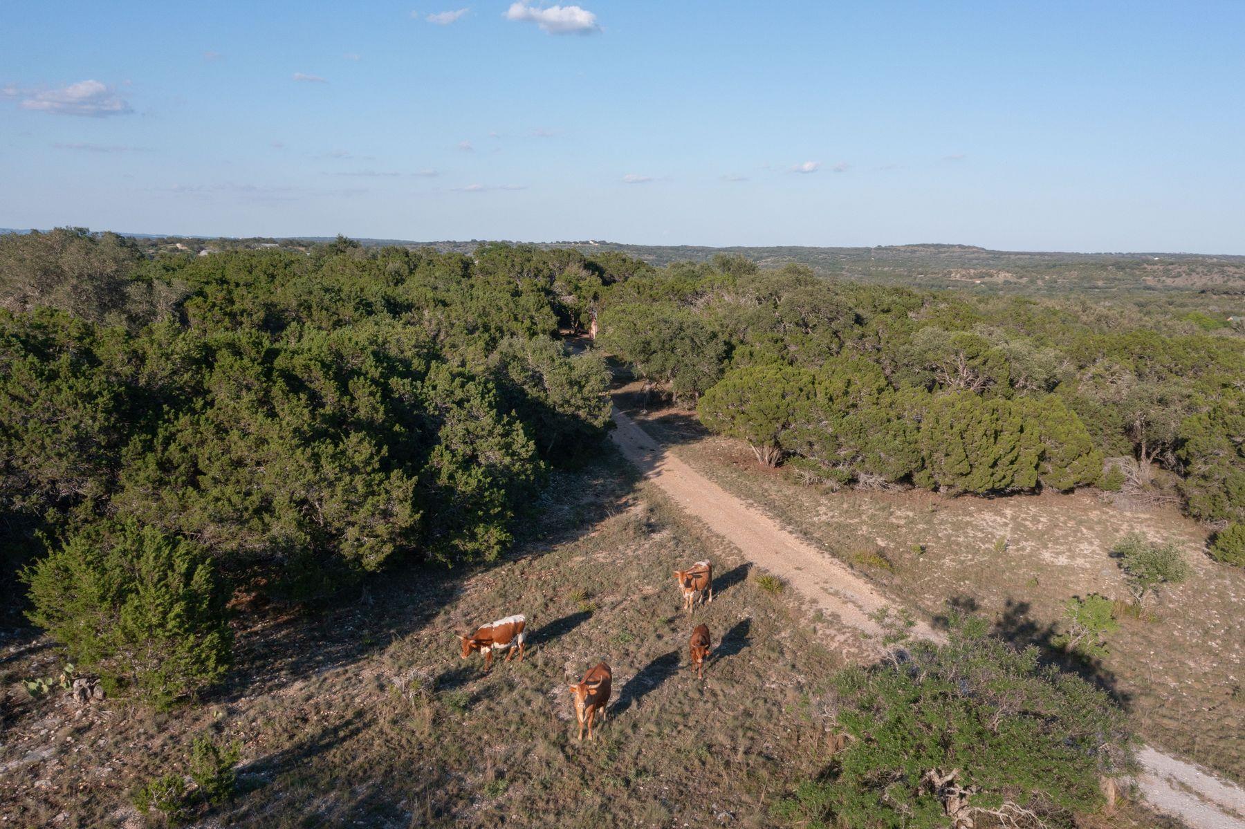 3303 Fearless Treadway None Property Photo 8