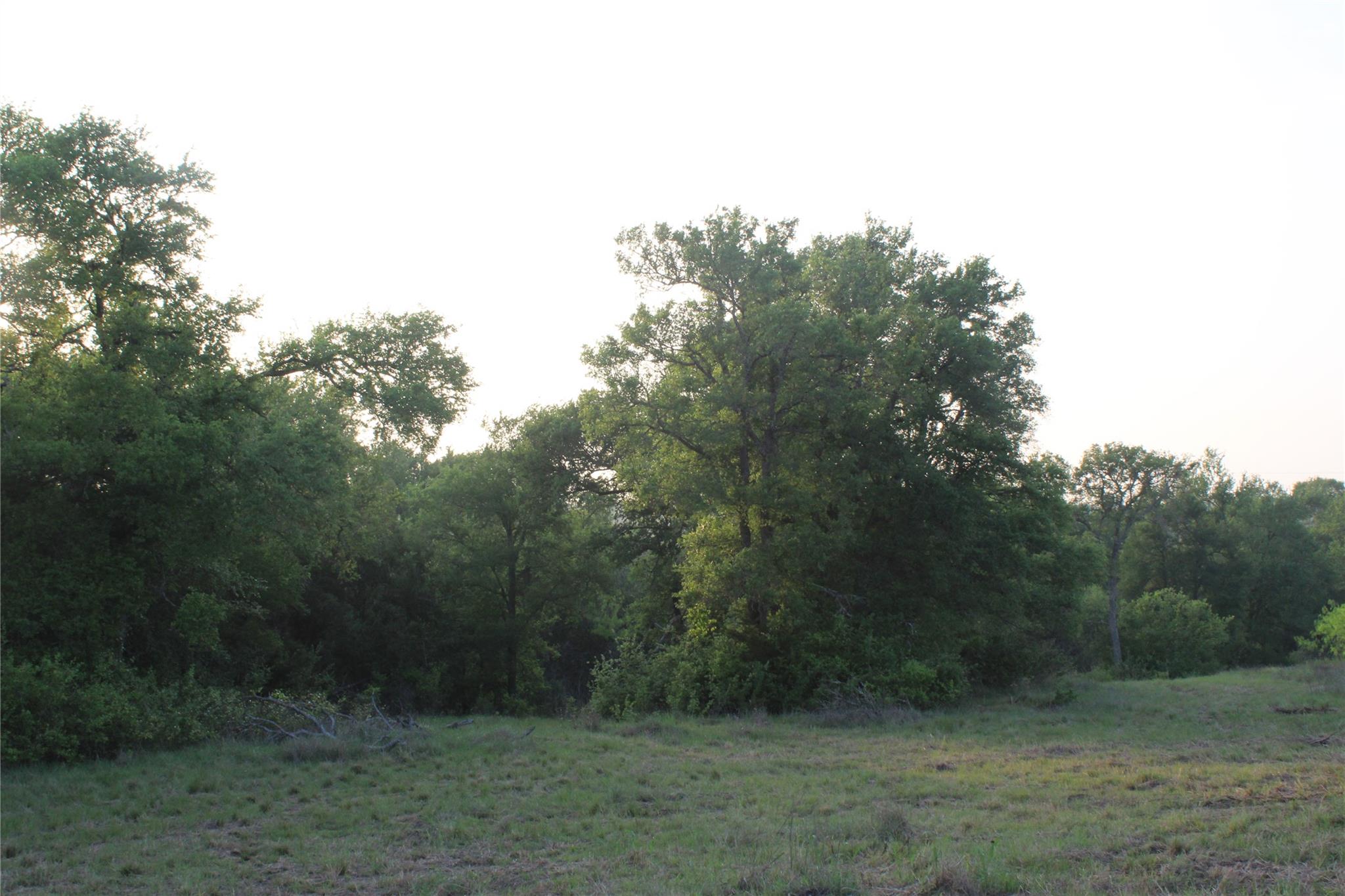 Tbd Hibbs Ln Property Photo 14