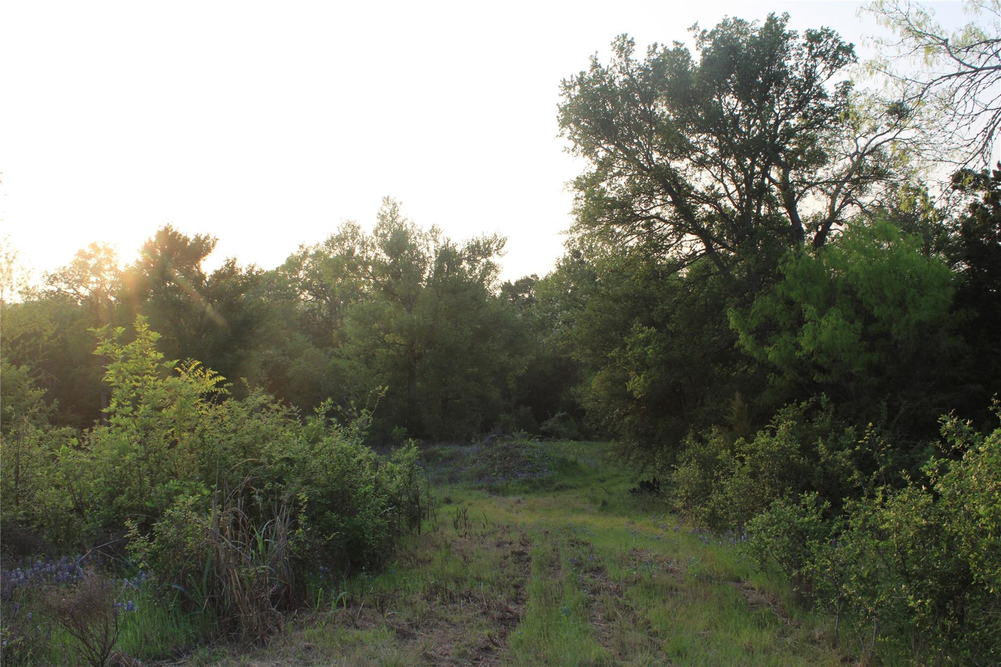 Tbd Hibbs Ln Property Photo 17