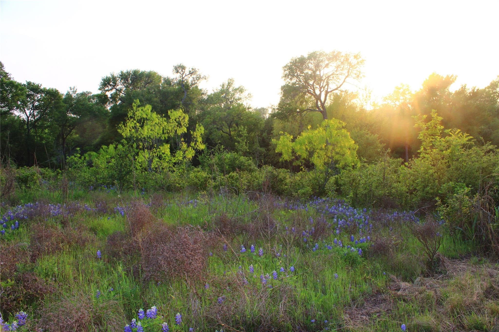 Tbd Hibbs Ln Property Photo 18