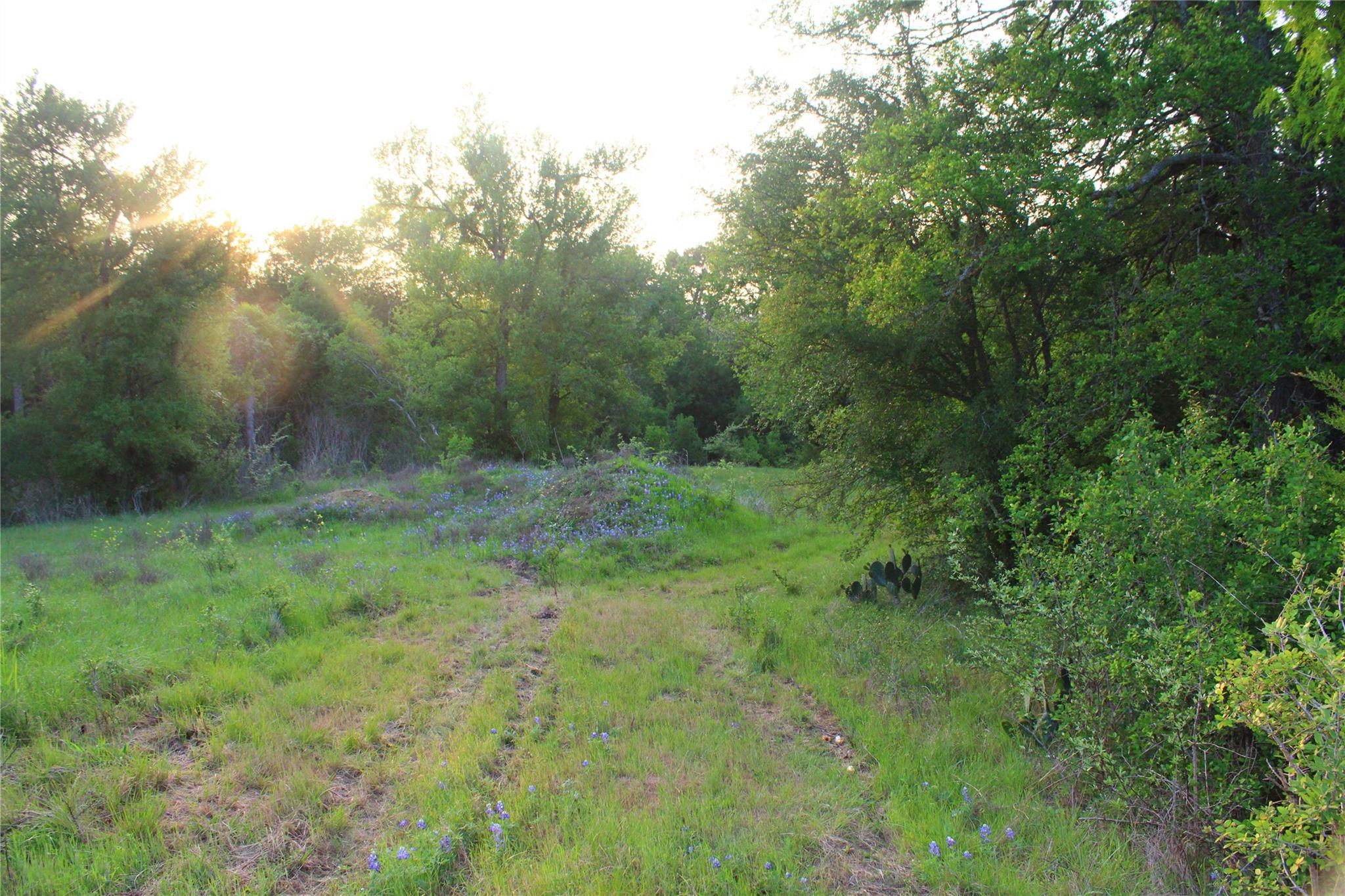 Tbd Hibbs Ln Property Photo 19