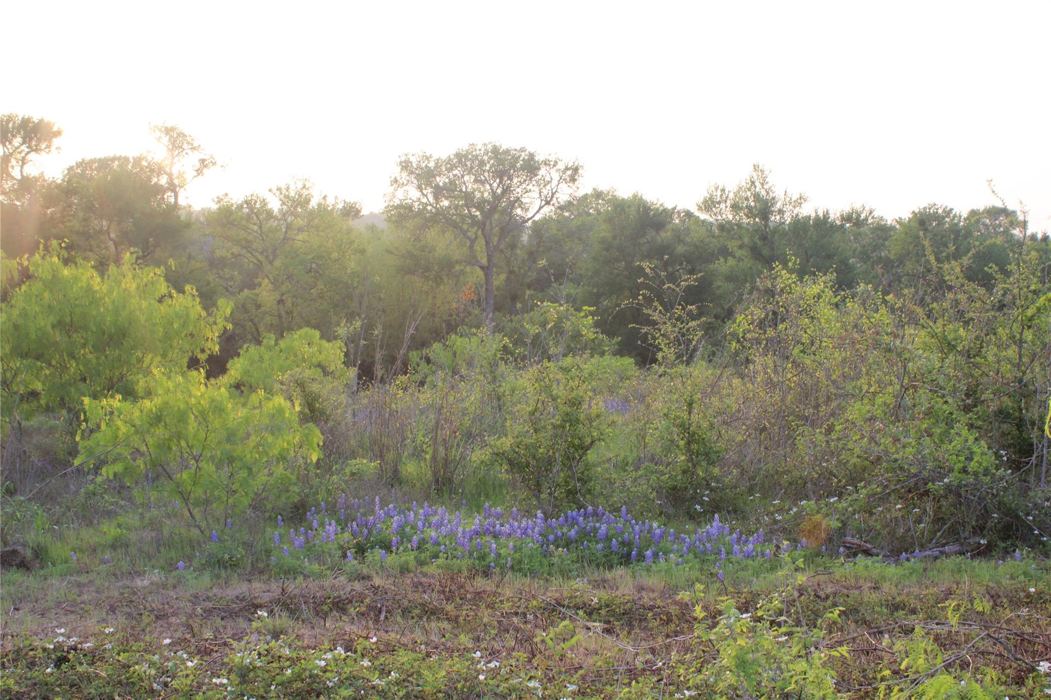 Tbd Hibbs Ln Property Photo 21