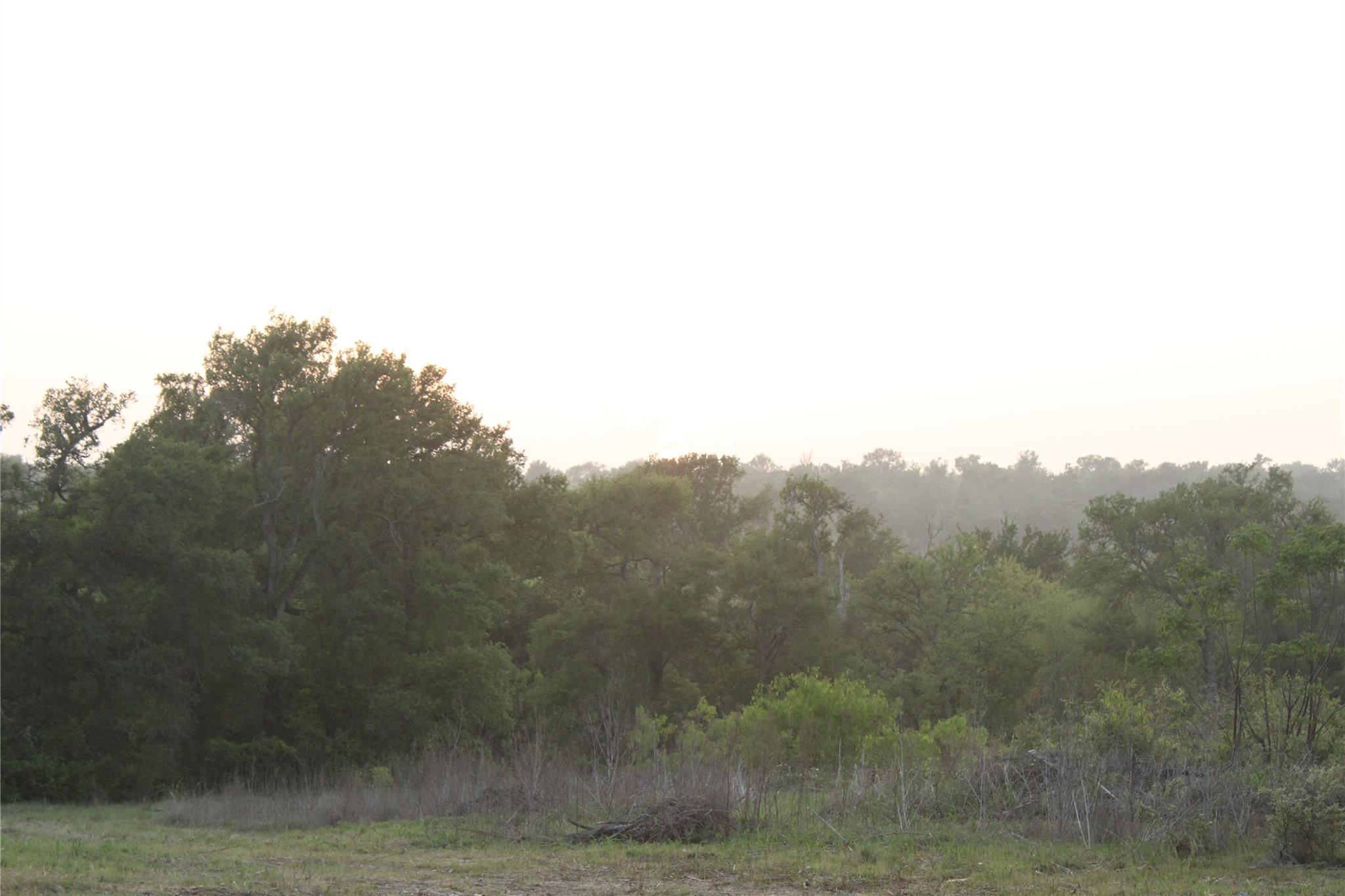 Tbd Hibbs Ln Property Photo 28