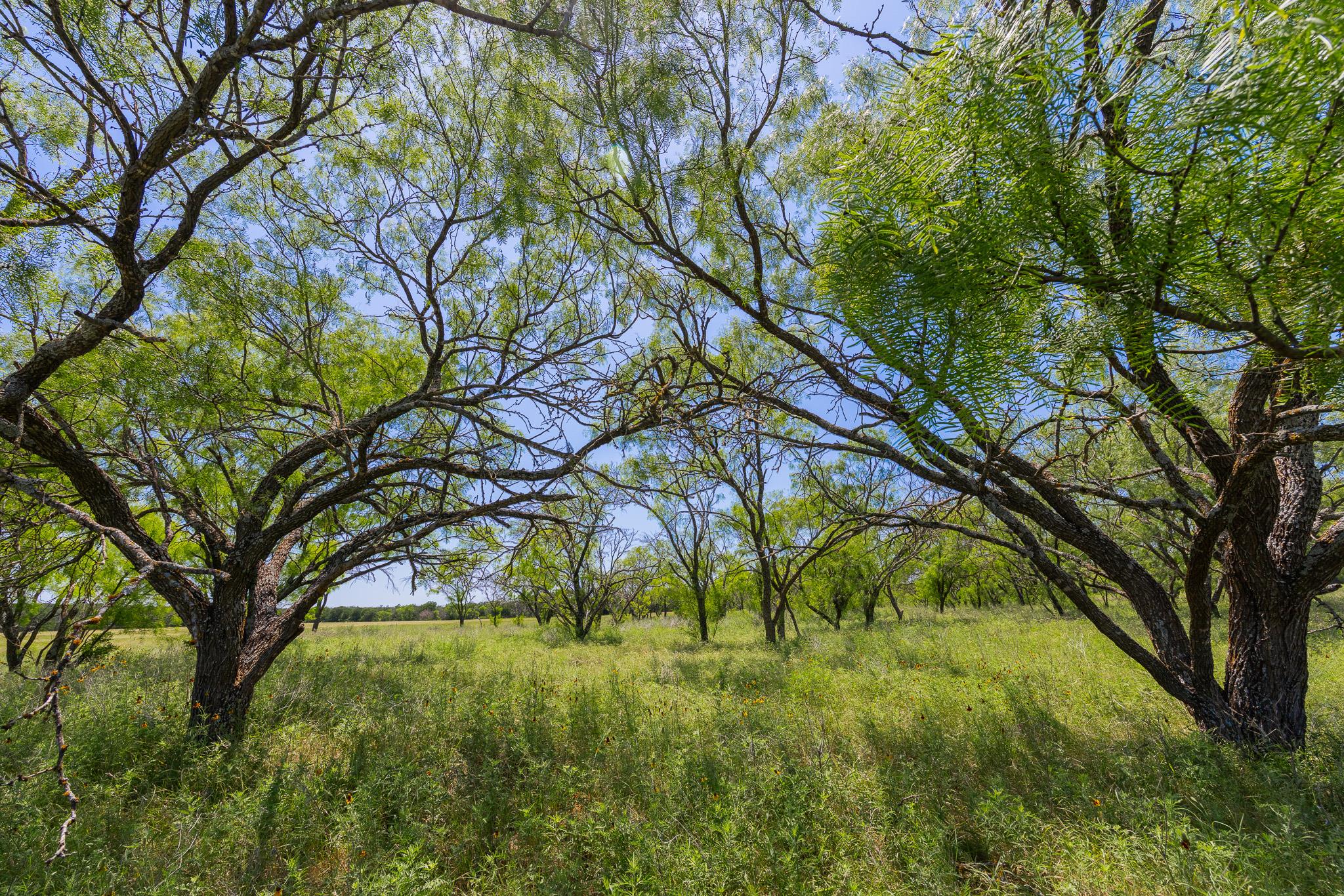 2811708 Property Photo 1