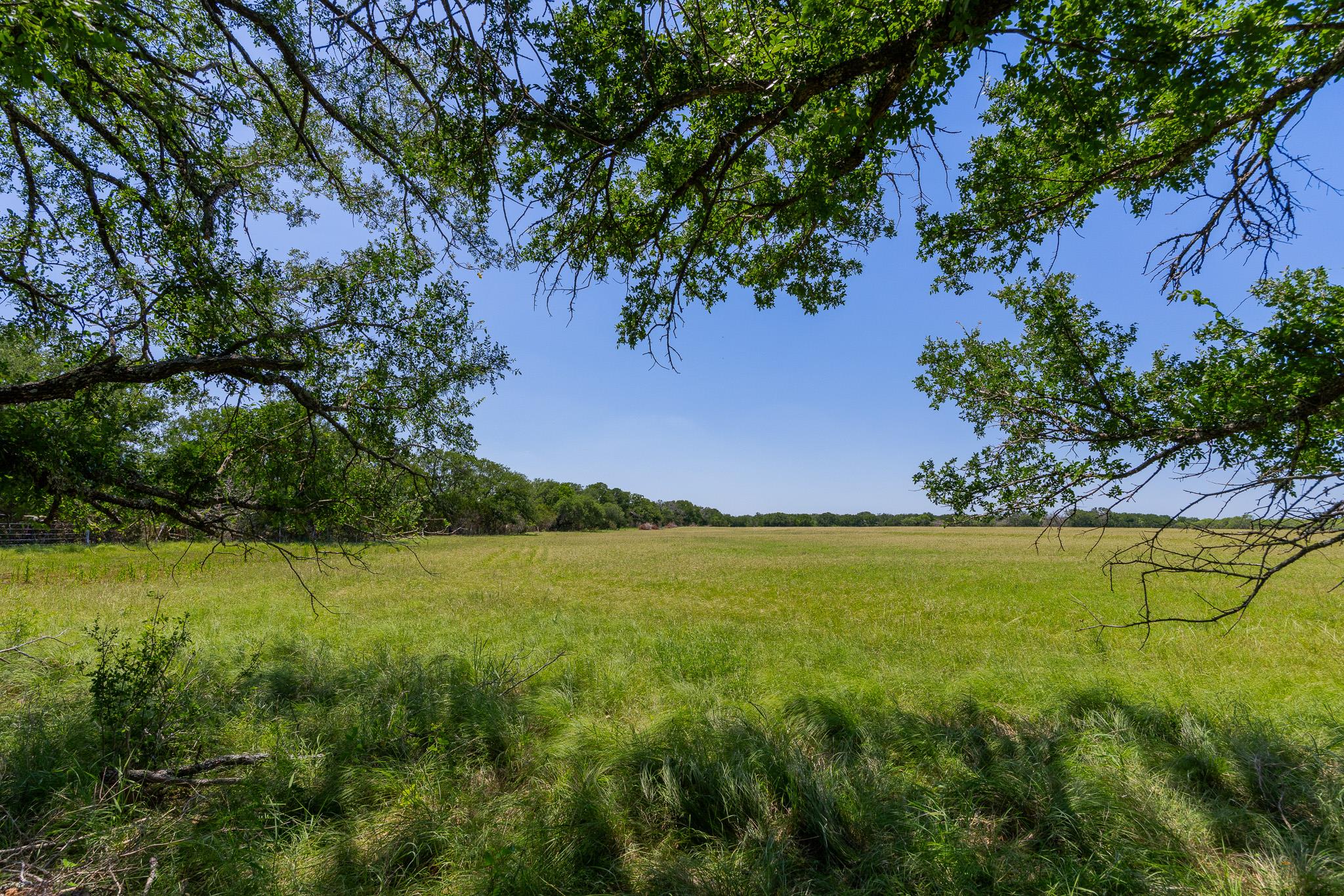 2811708 Property Photo 2