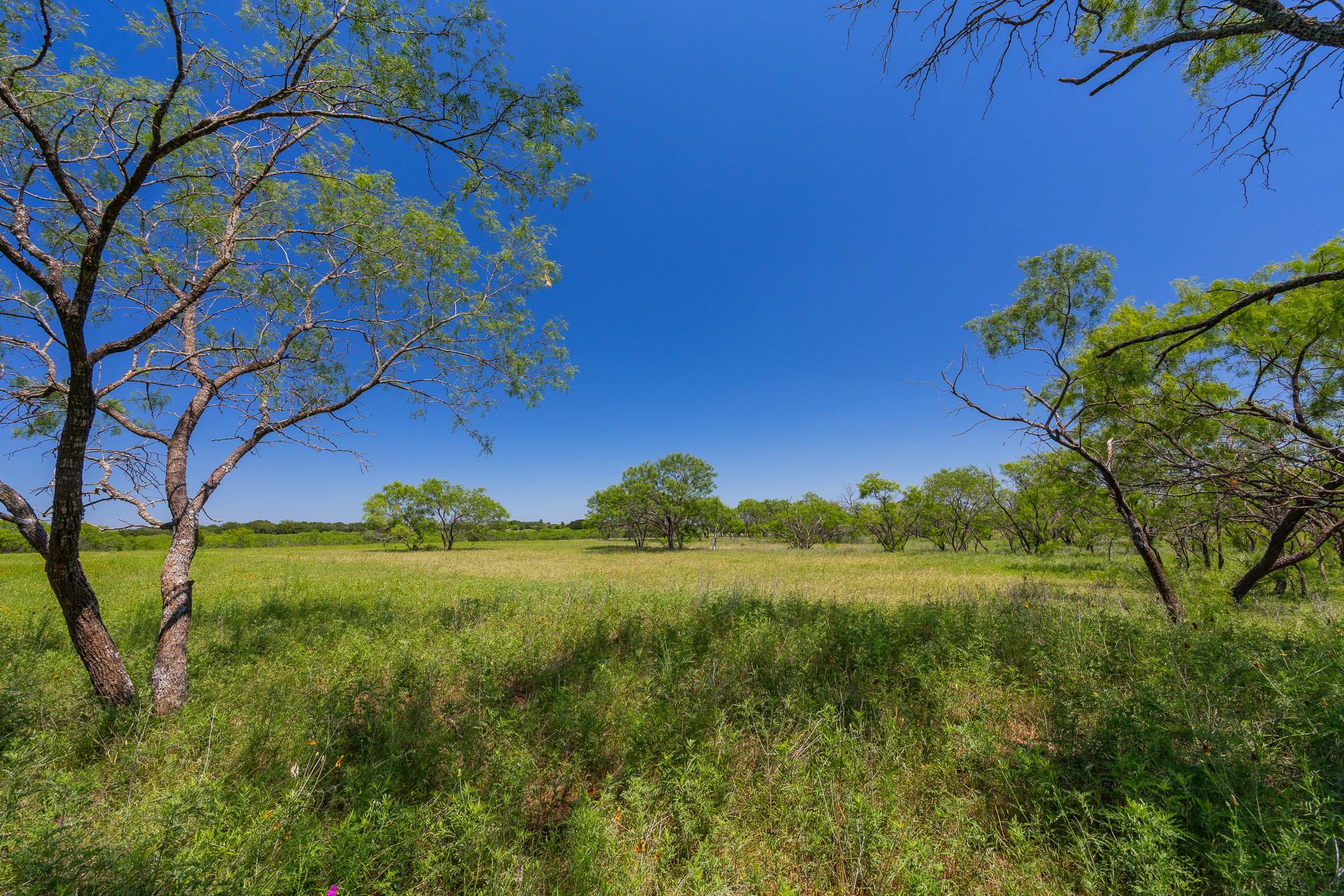 2811708 Property Photo 3