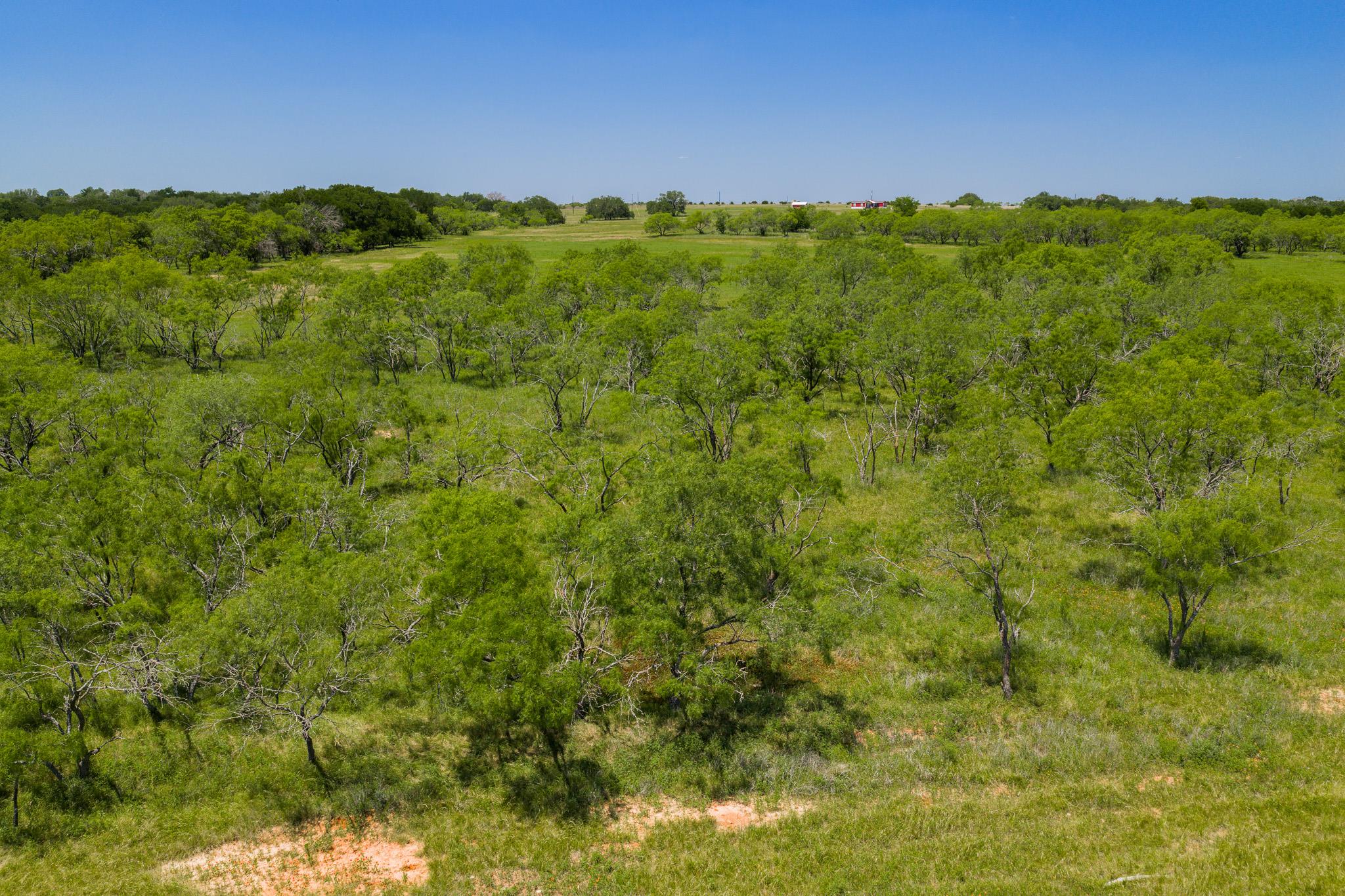 2811708 Property Photo 8