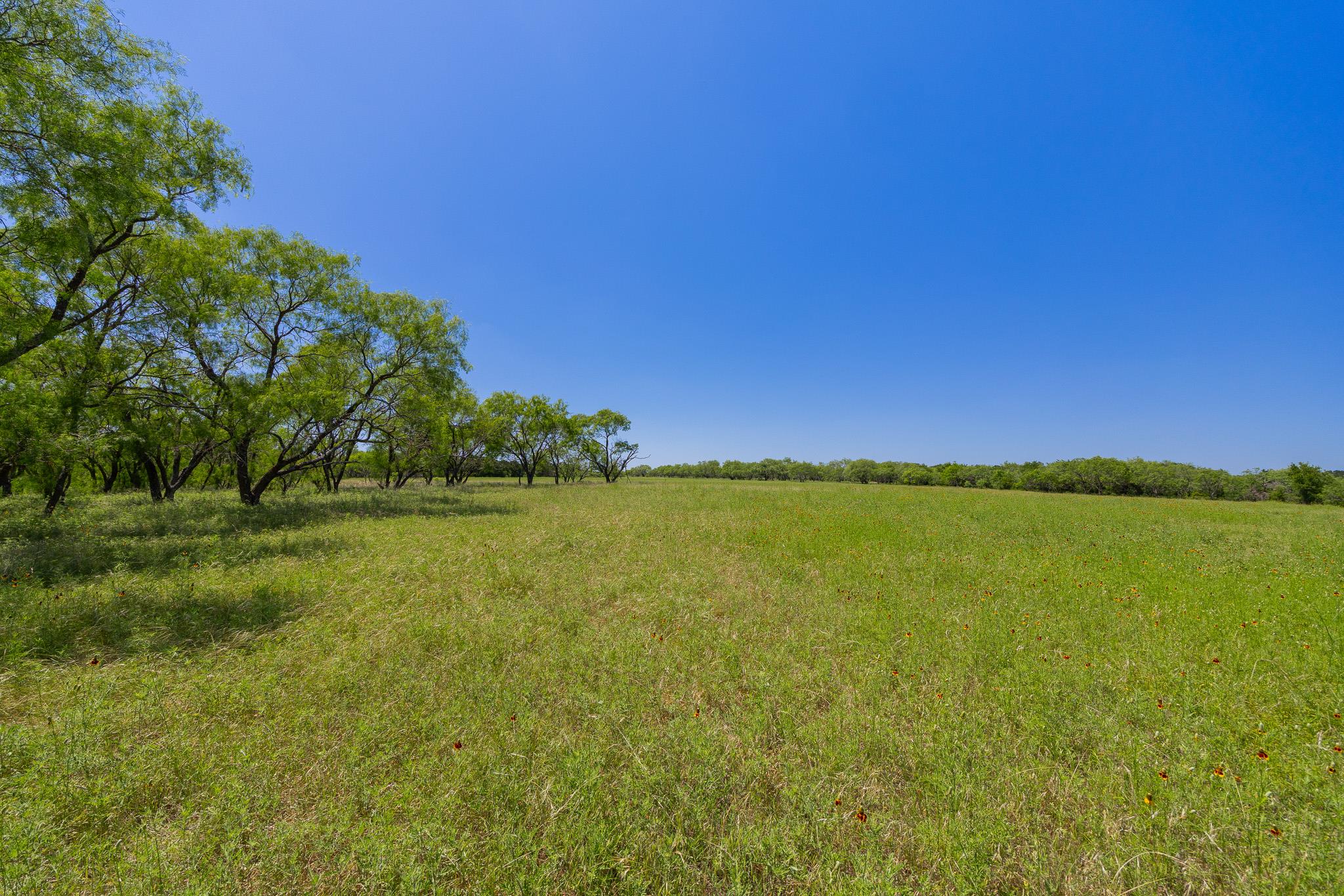 2811708 Property Photo 10