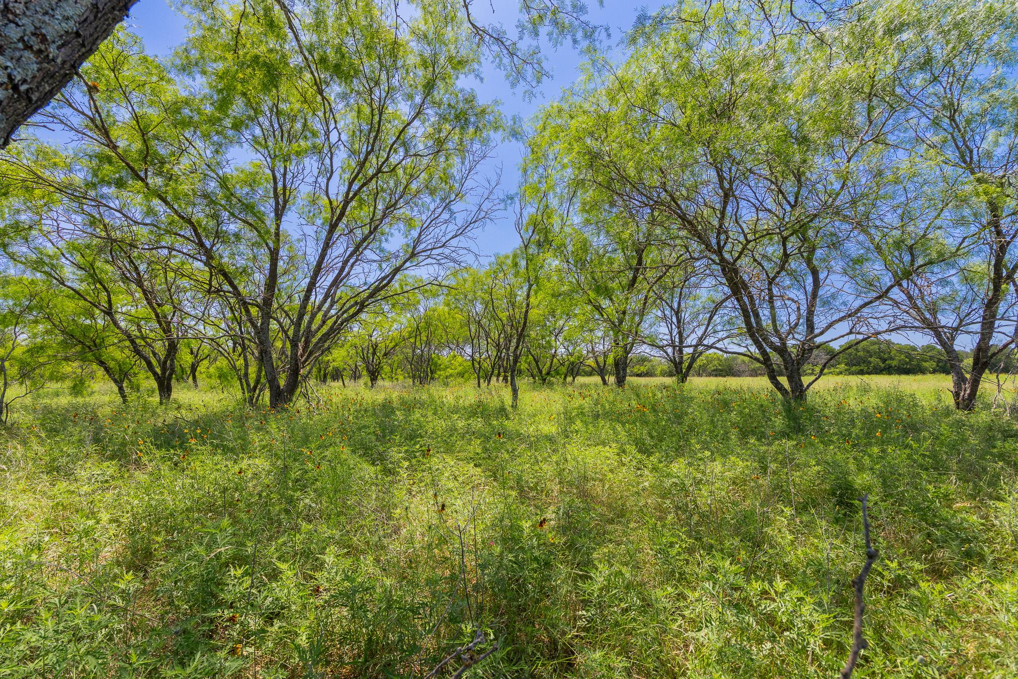 2811708 Property Photo 11