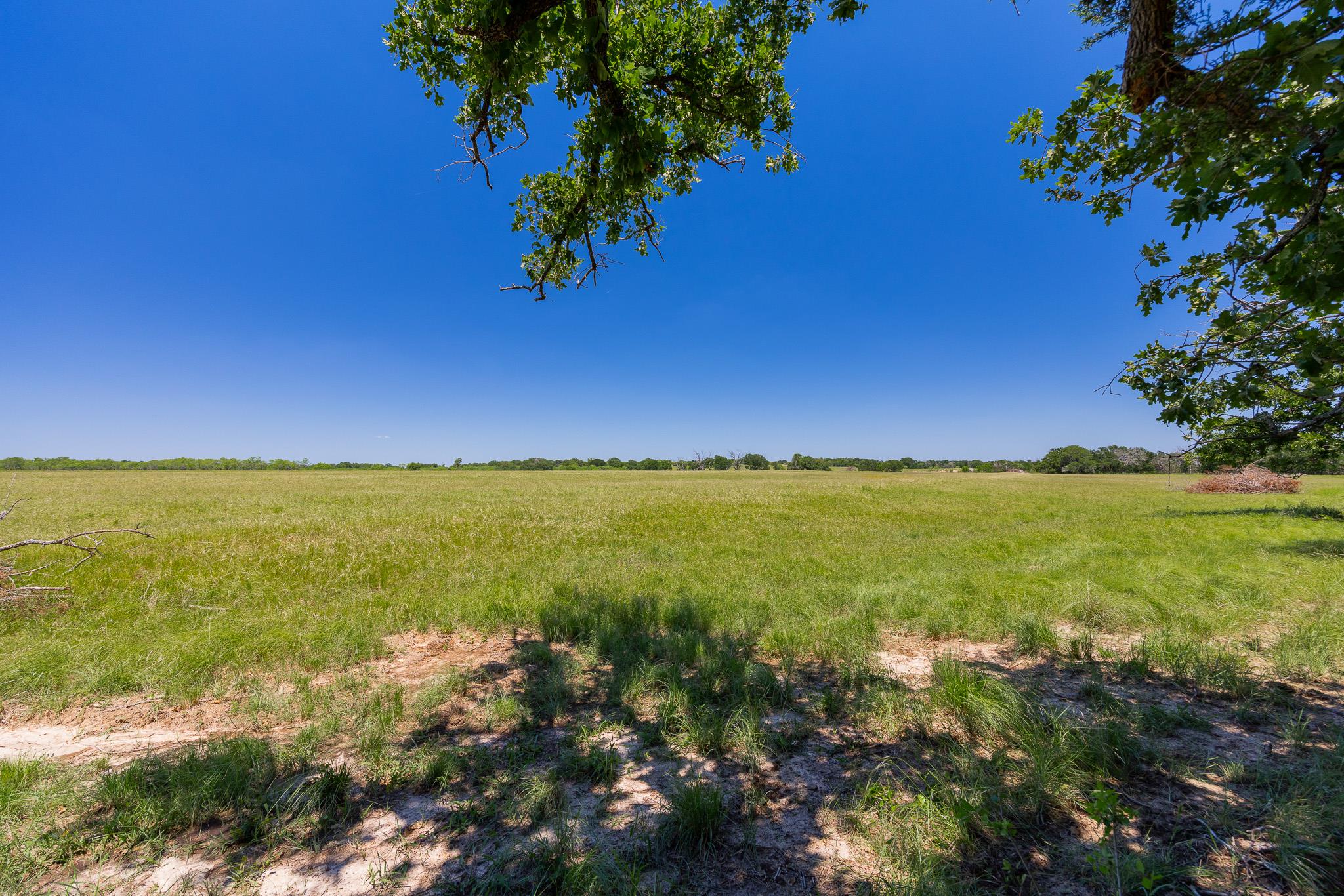 2811708 Property Photo 12