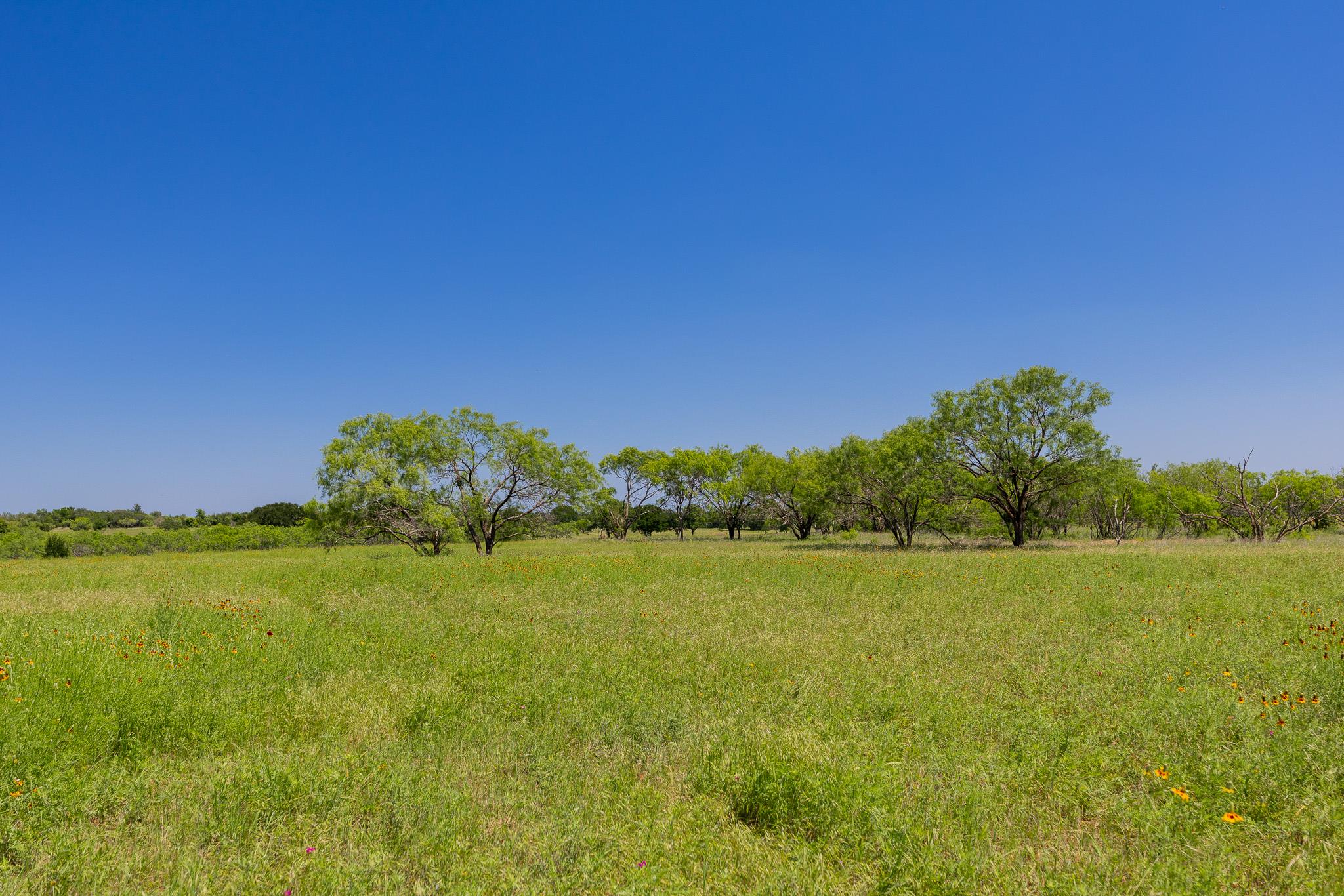 2811708 Property Photo 14