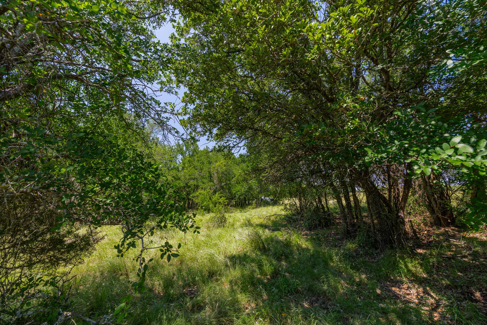 2811708 Property Photo 15