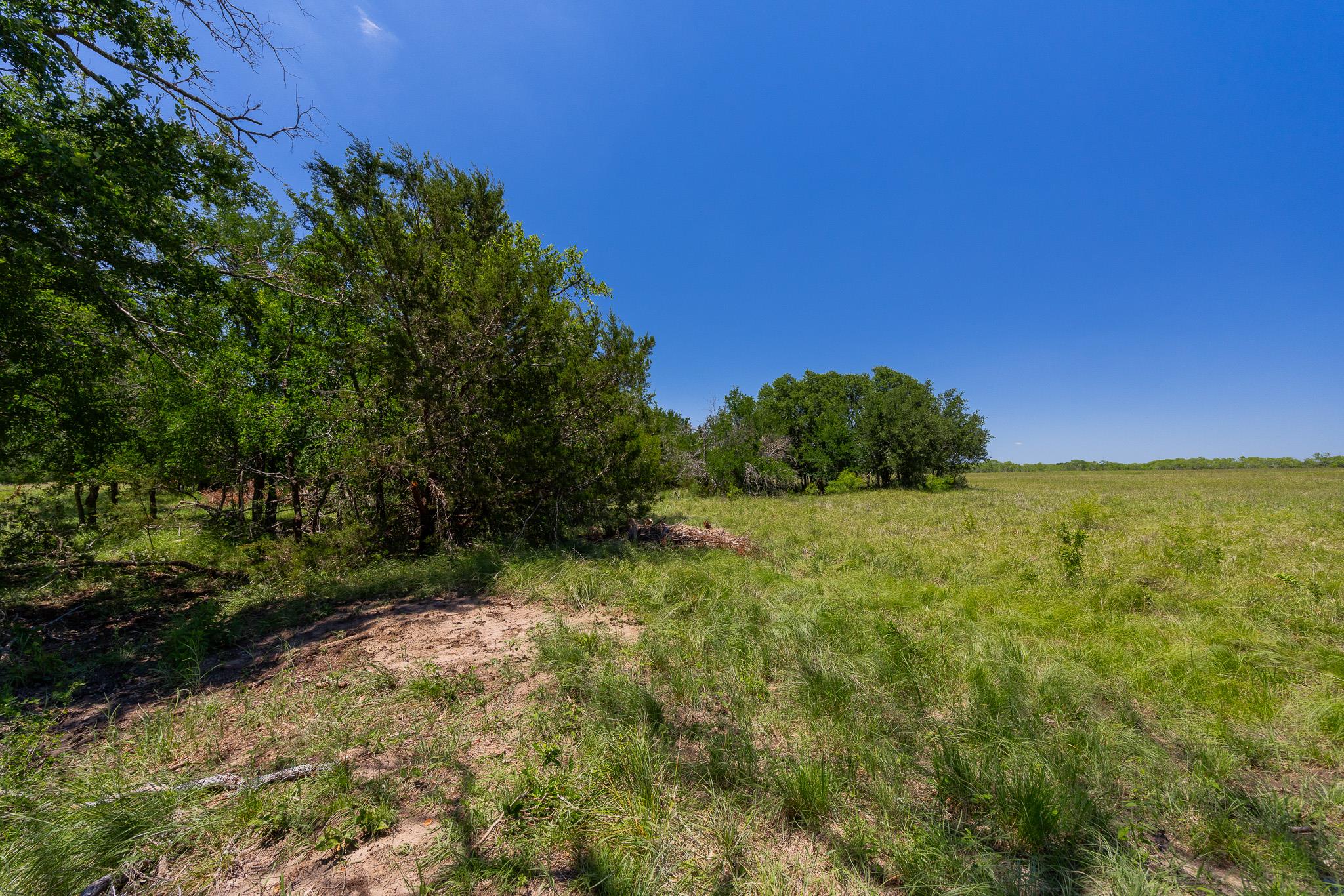2811708 Property Photo 17