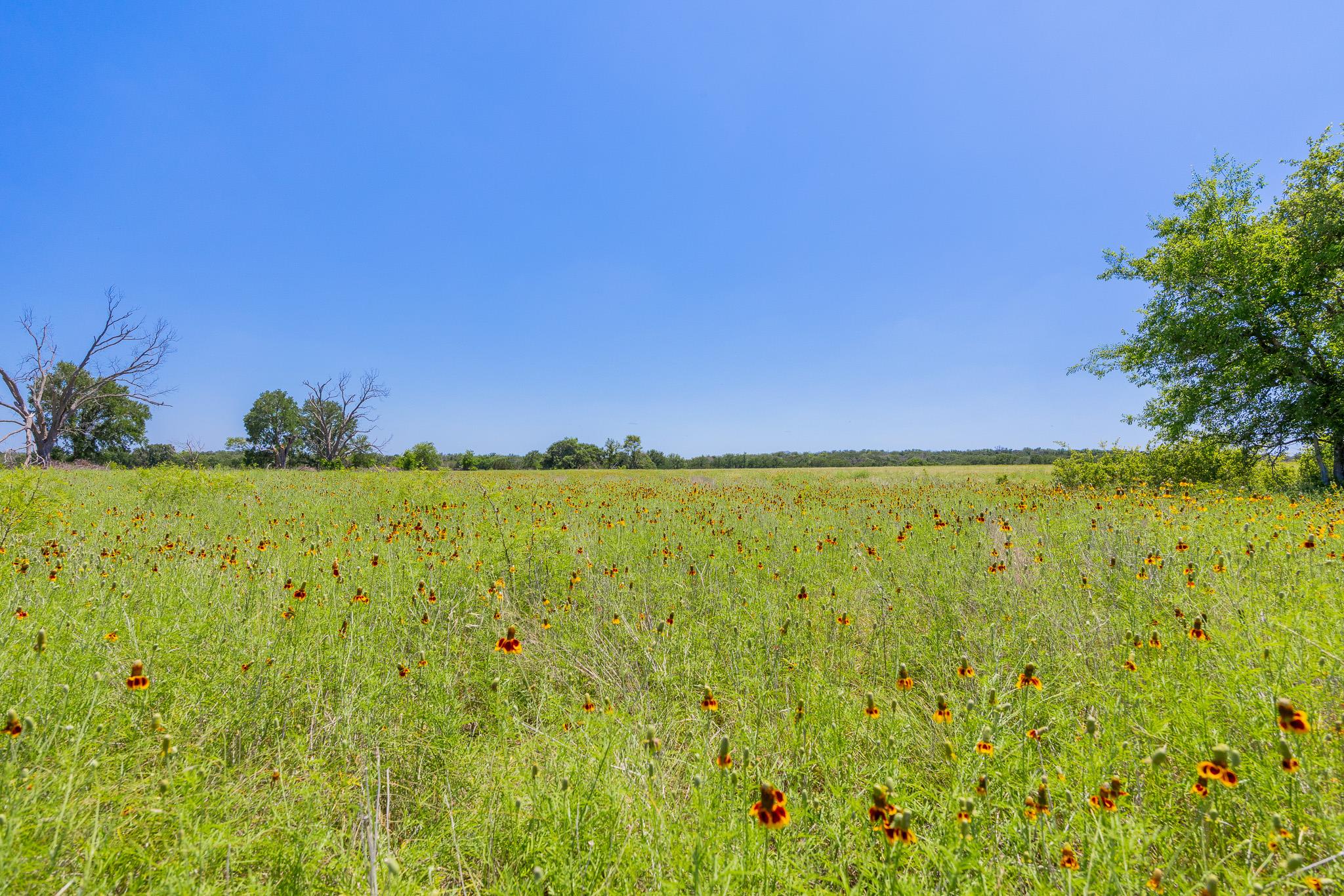 2811708 Property Photo 18