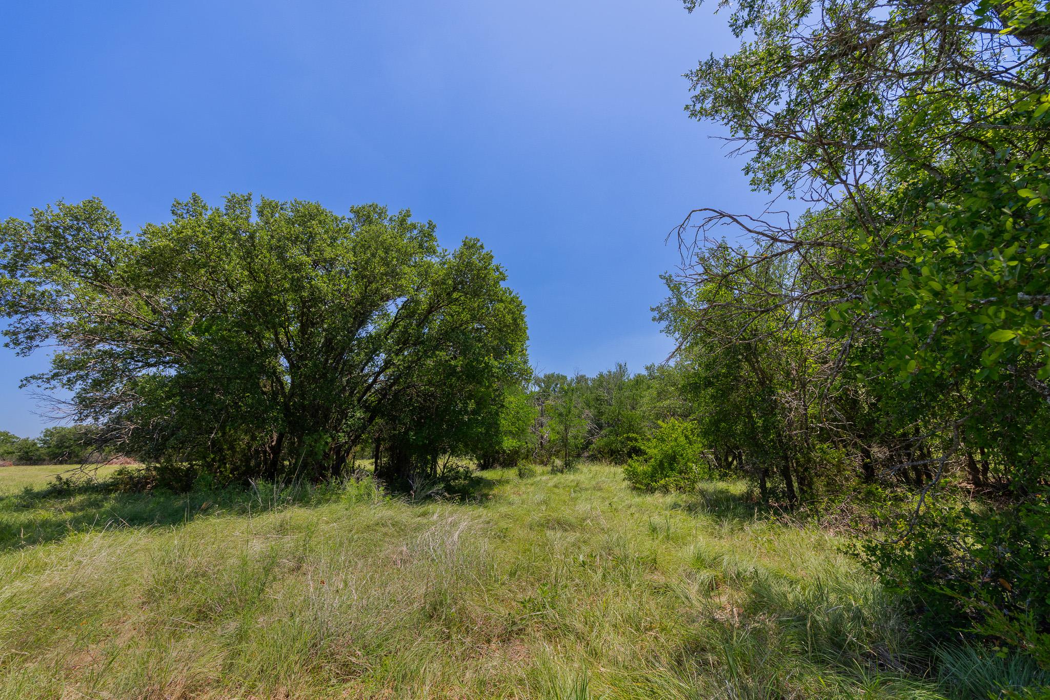 2811708 Property Photo 22