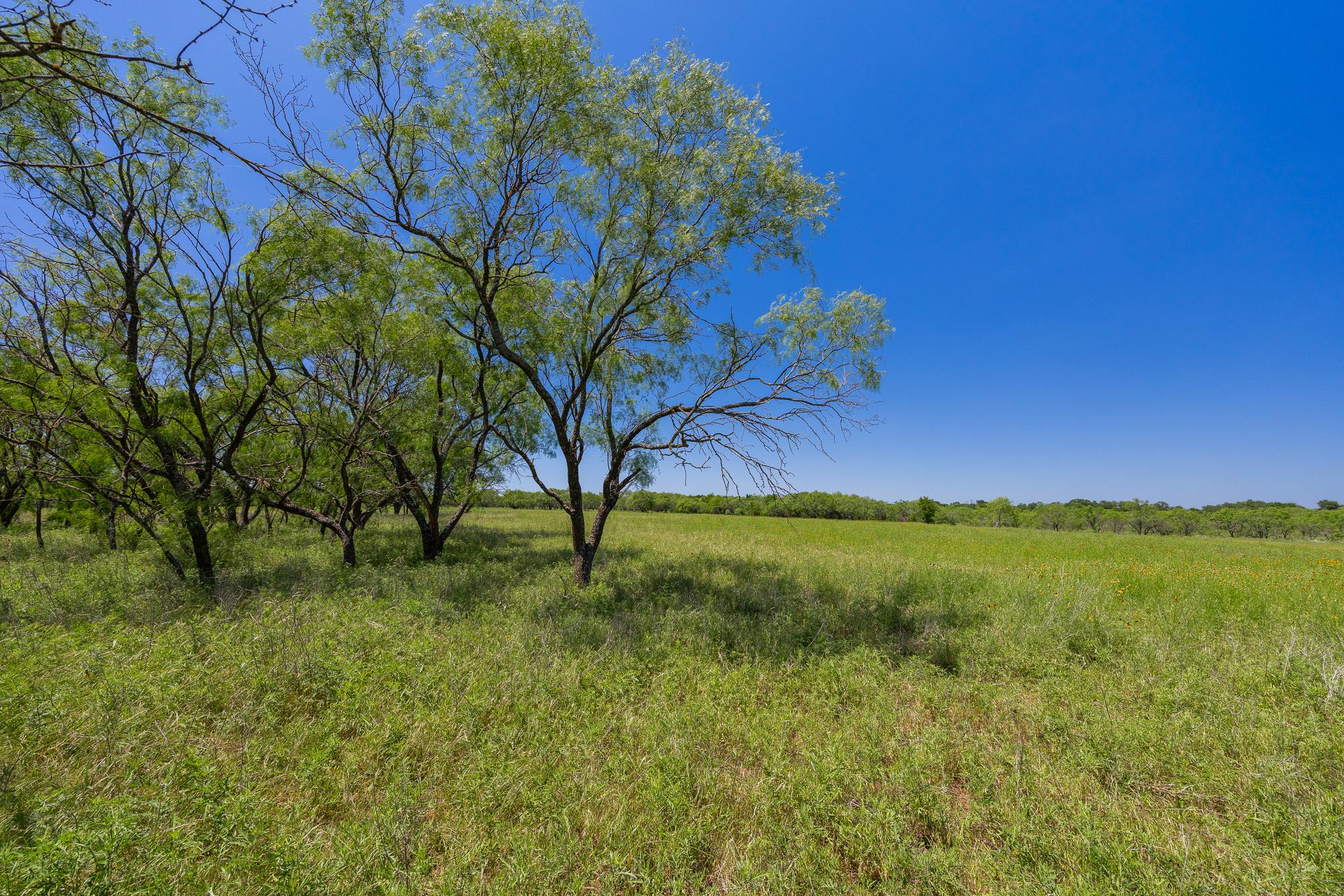 2811708 Property Photo 23