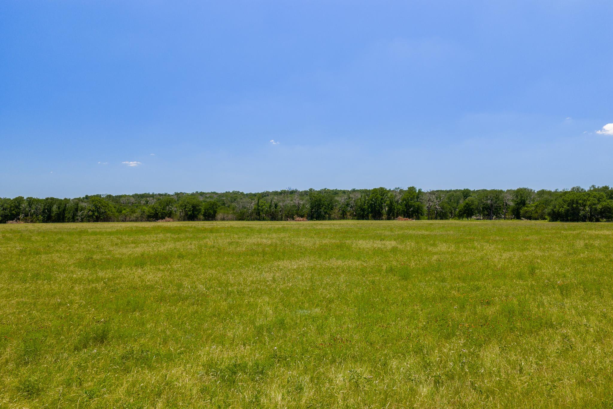 2811708 Property Photo 24