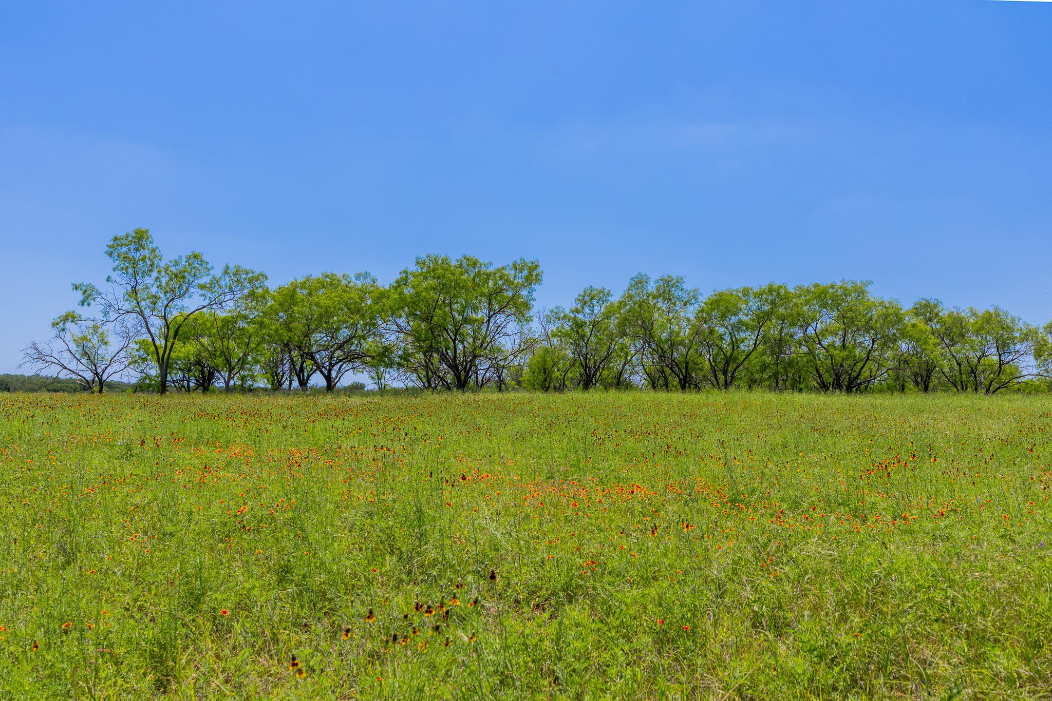 2811708 Property Photo 26