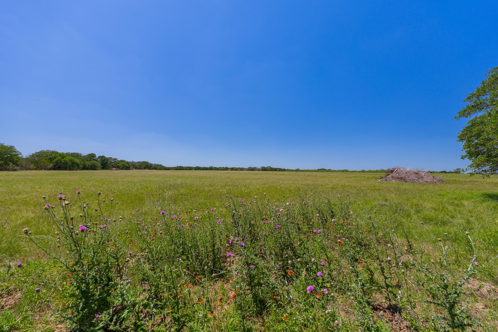 2811708 Property Photo 27