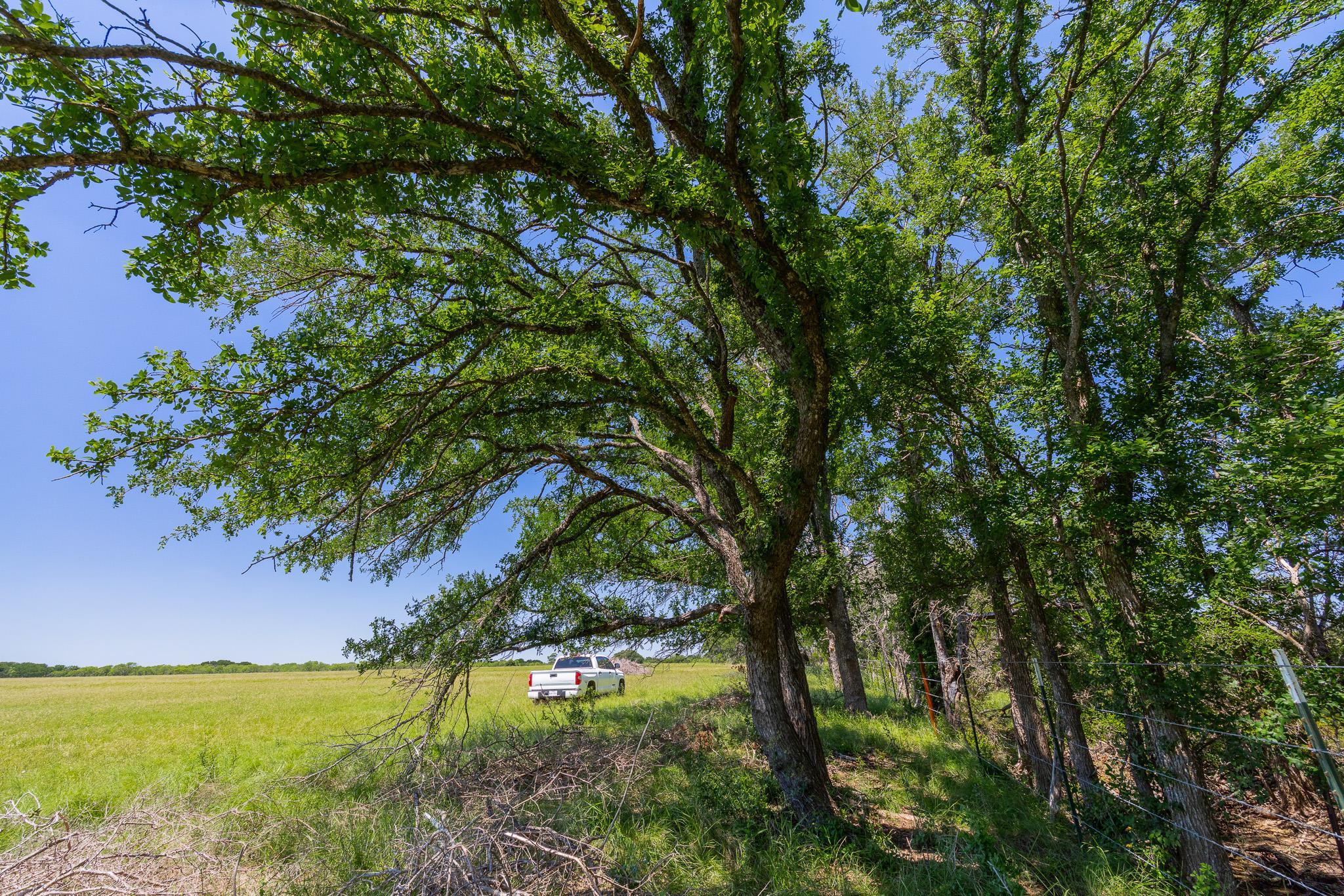 2811708 Property Photo 29
