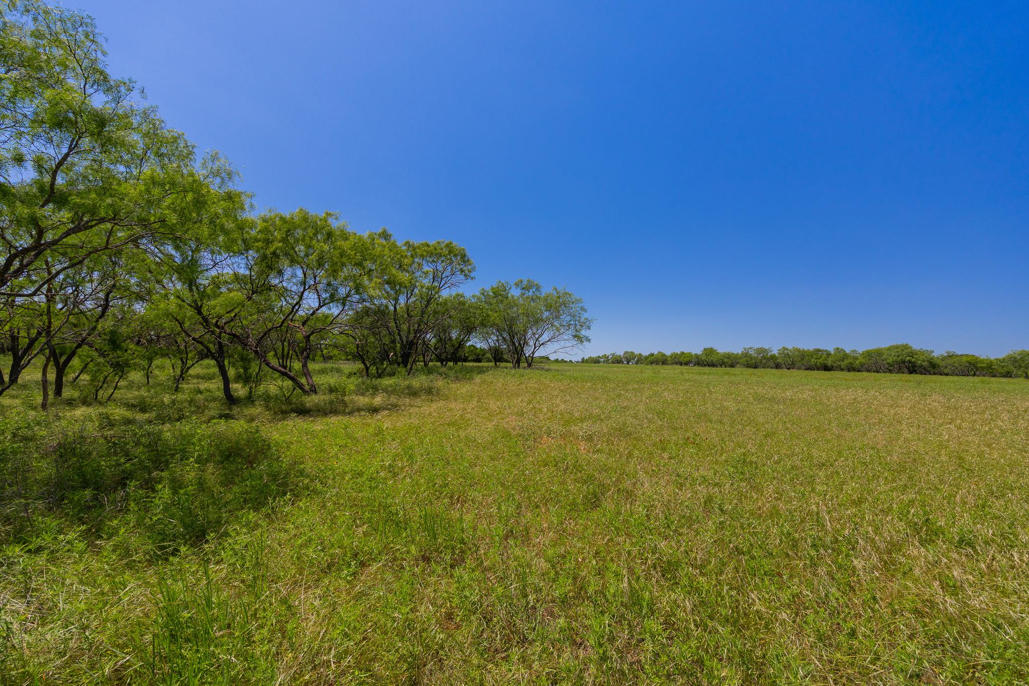 2811708 Property Photo 30