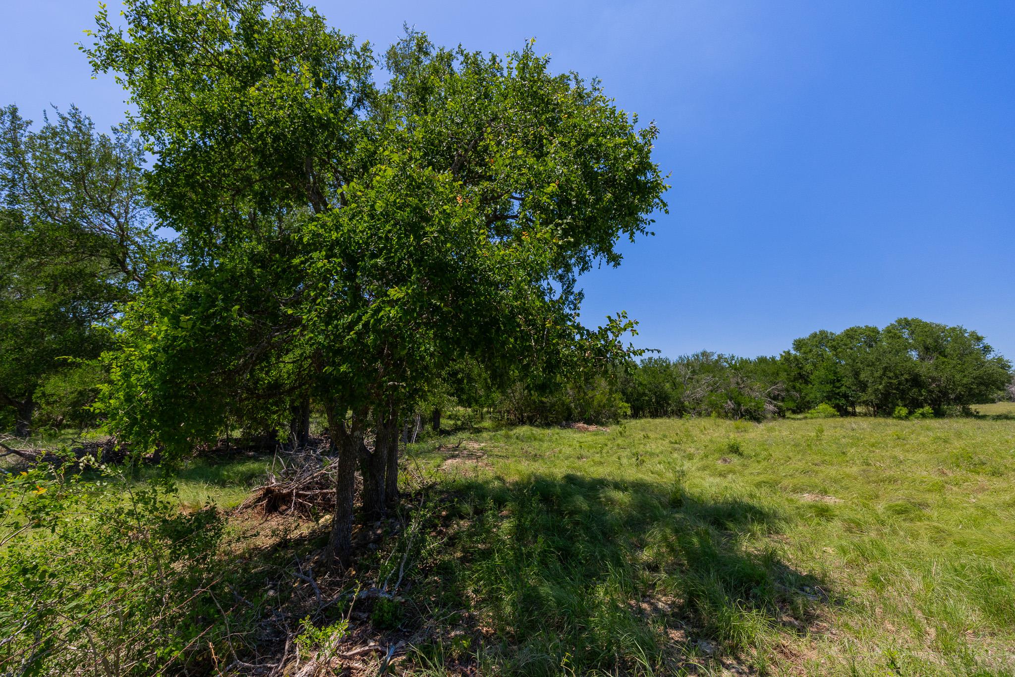 2811708 Property Photo 31