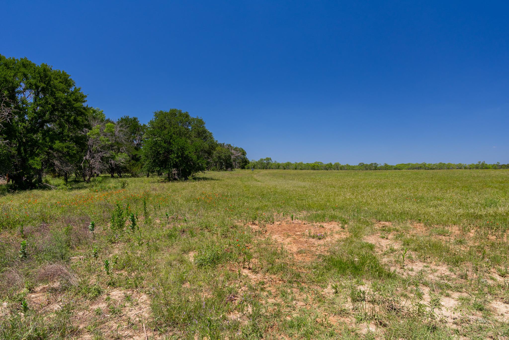 2811708 Property Photo 34