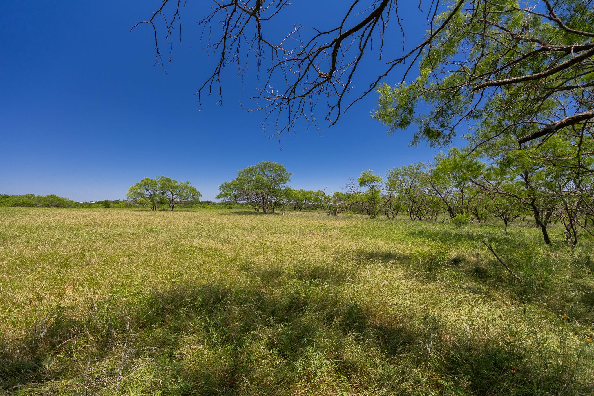 2811708 Property Photo 35