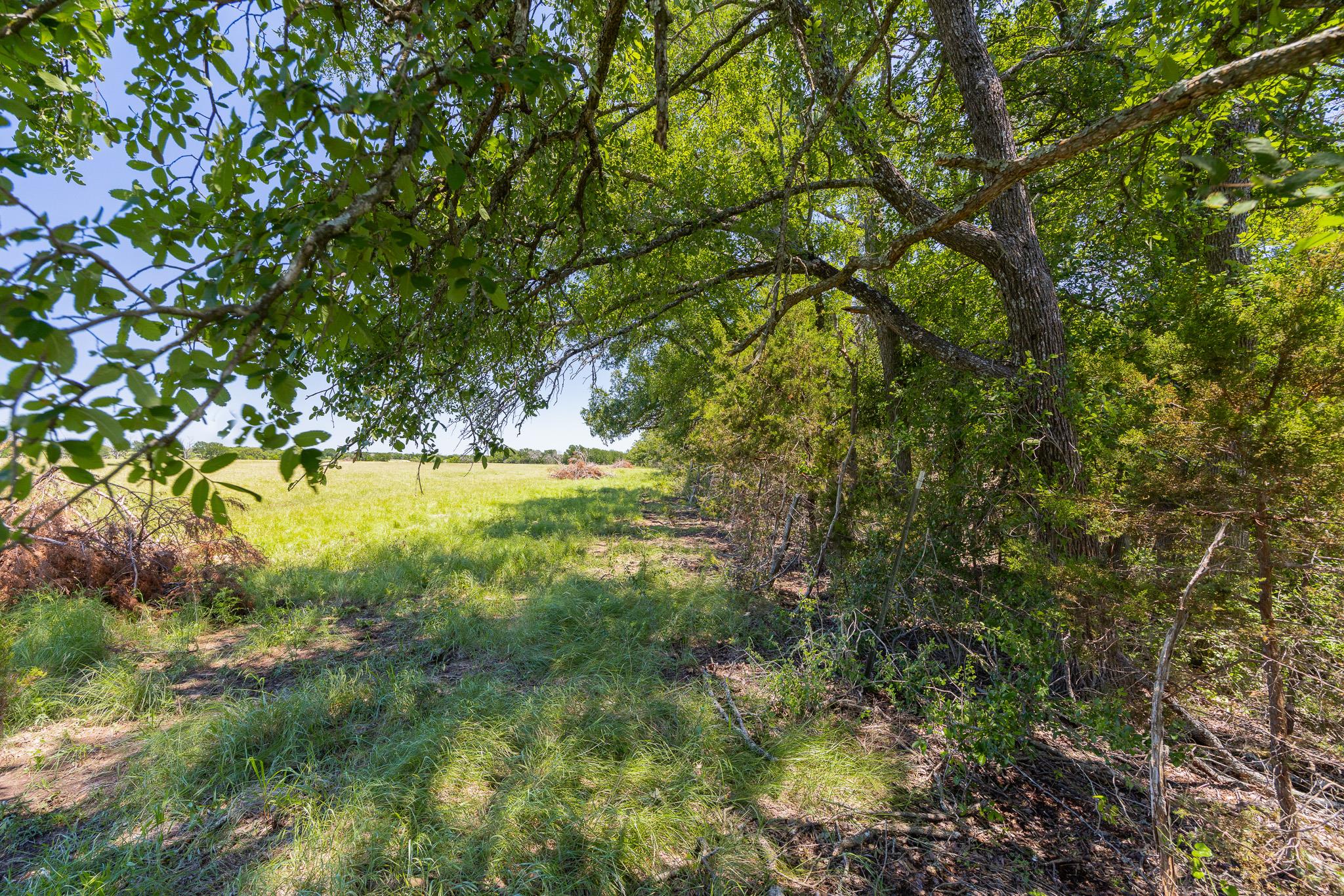 2811708 Property Photo 36