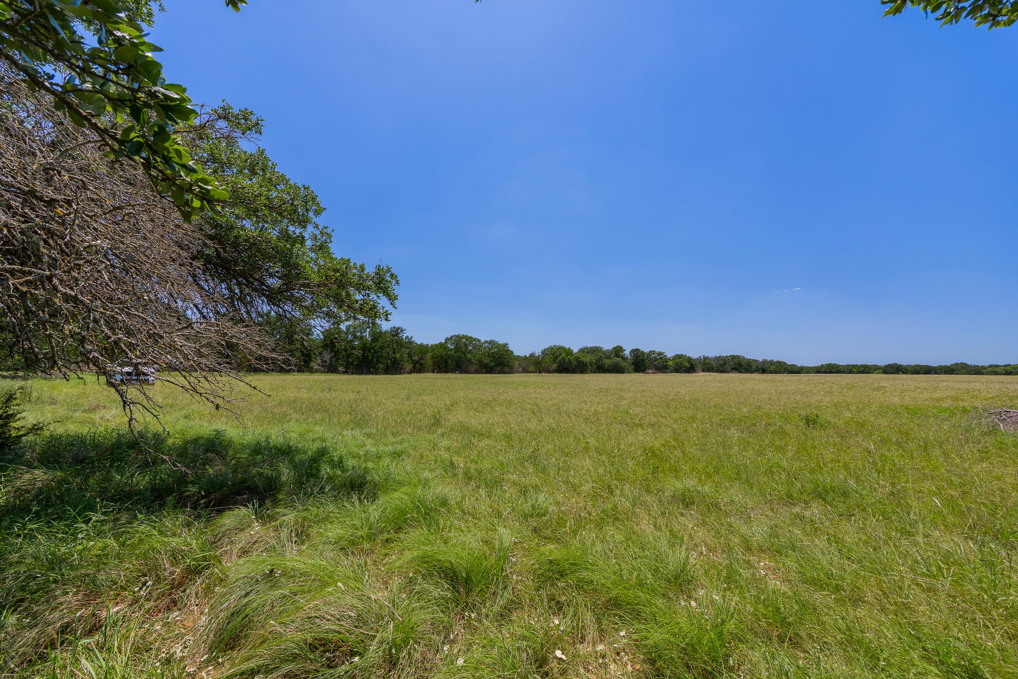 2811708 Property Photo 37