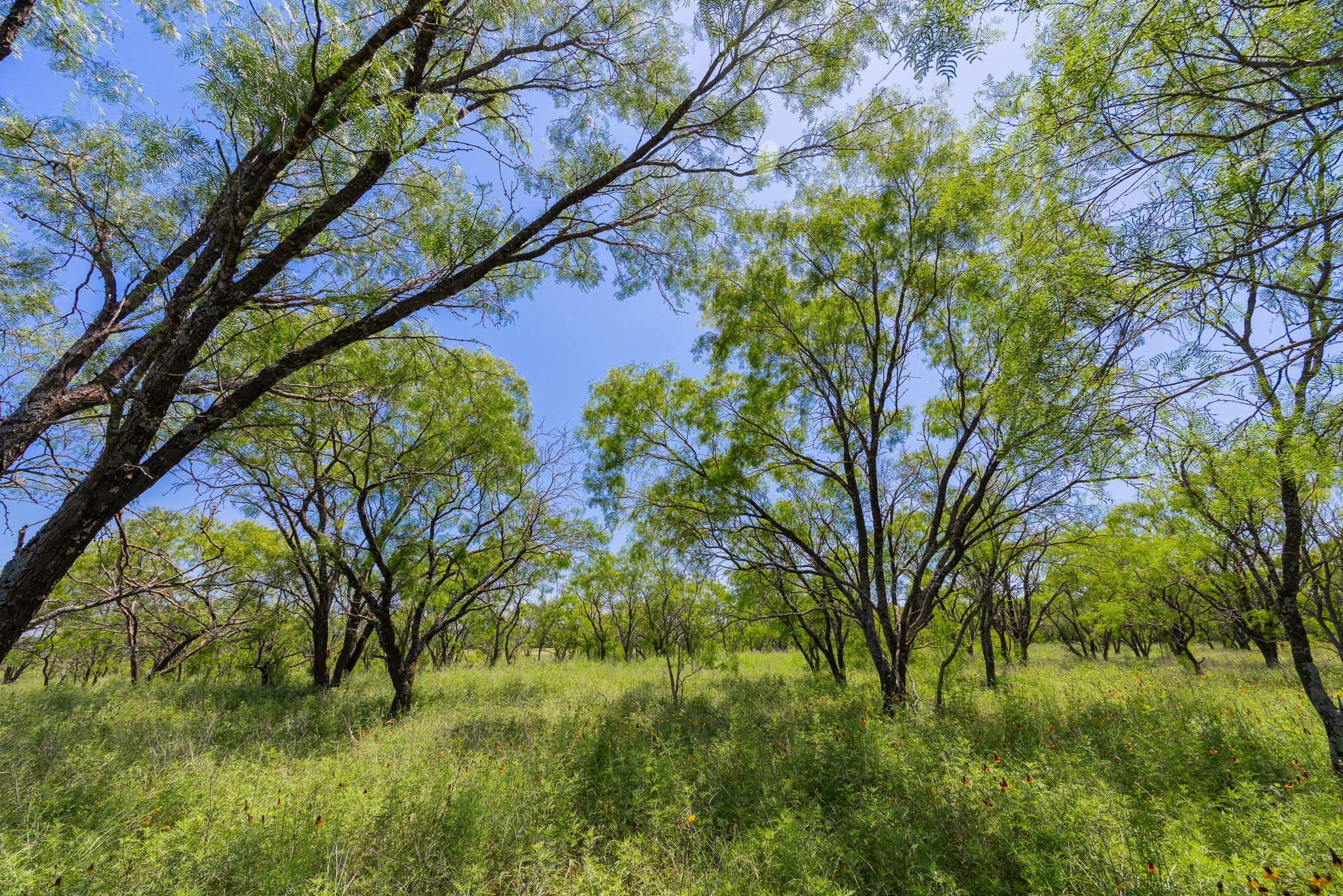 2811708 Property Photo 38