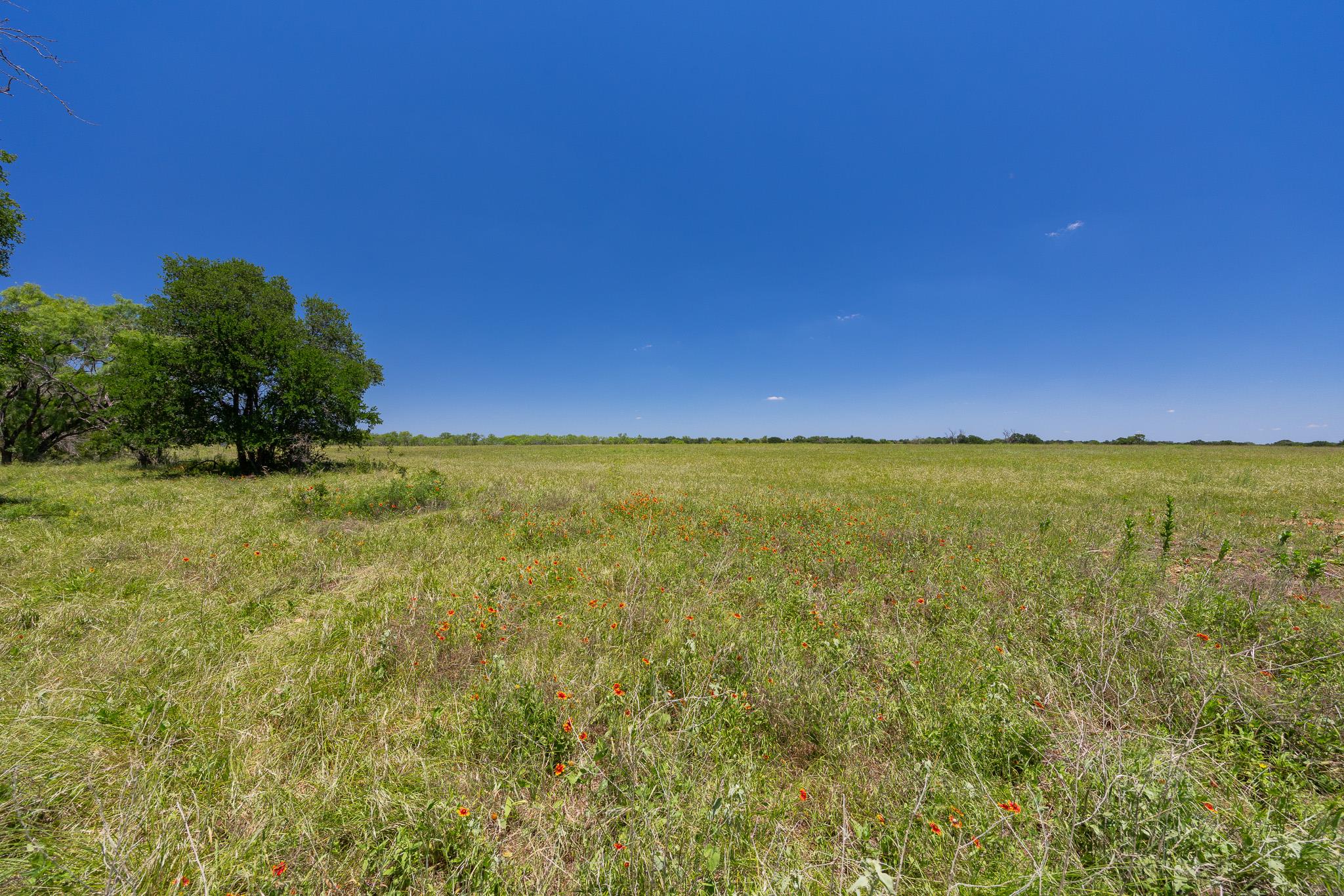 2811708 Property Photo 39