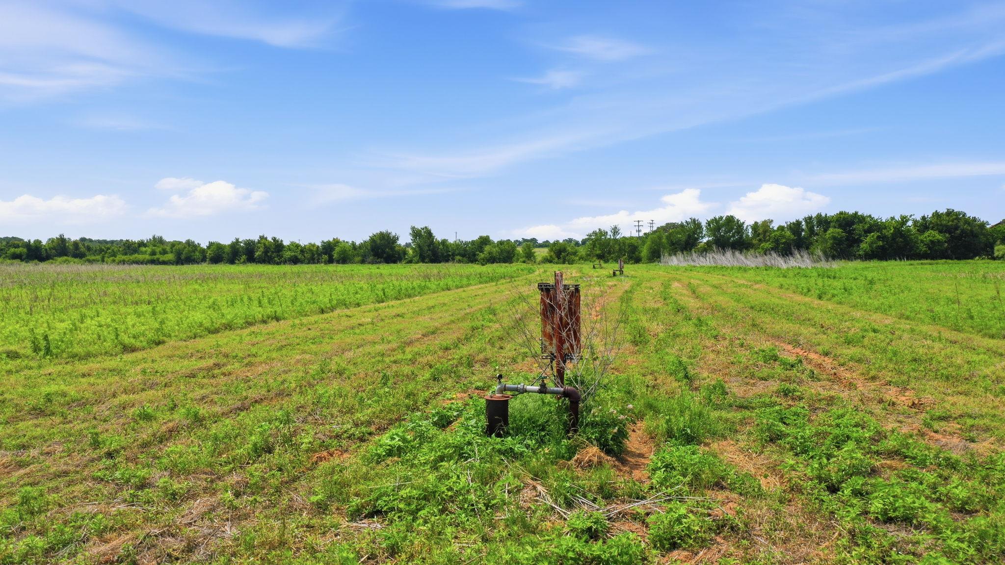 Tbd Cr 495 None Property Photo 12