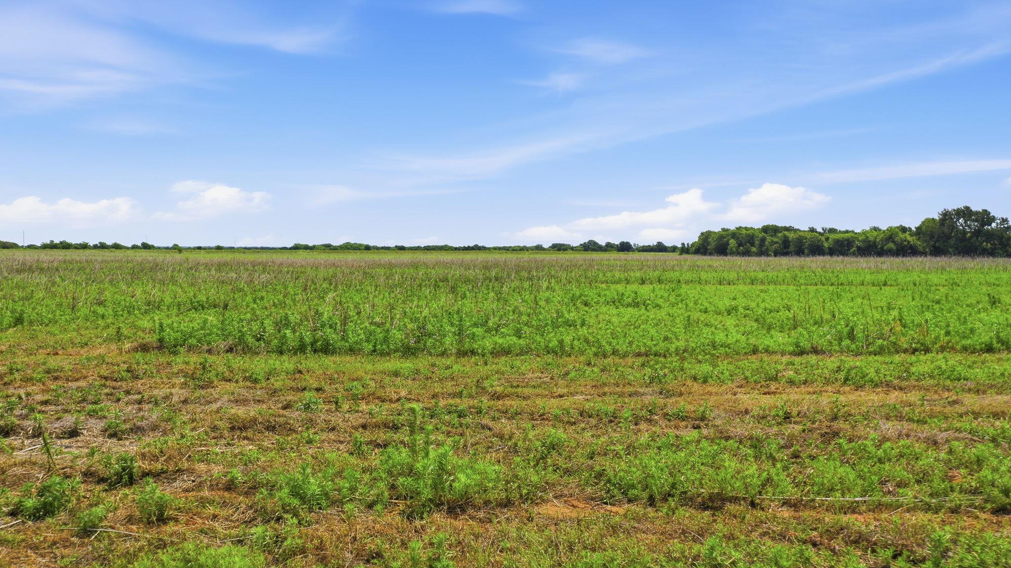 Tbd Cr 495 None Property Photo 14
