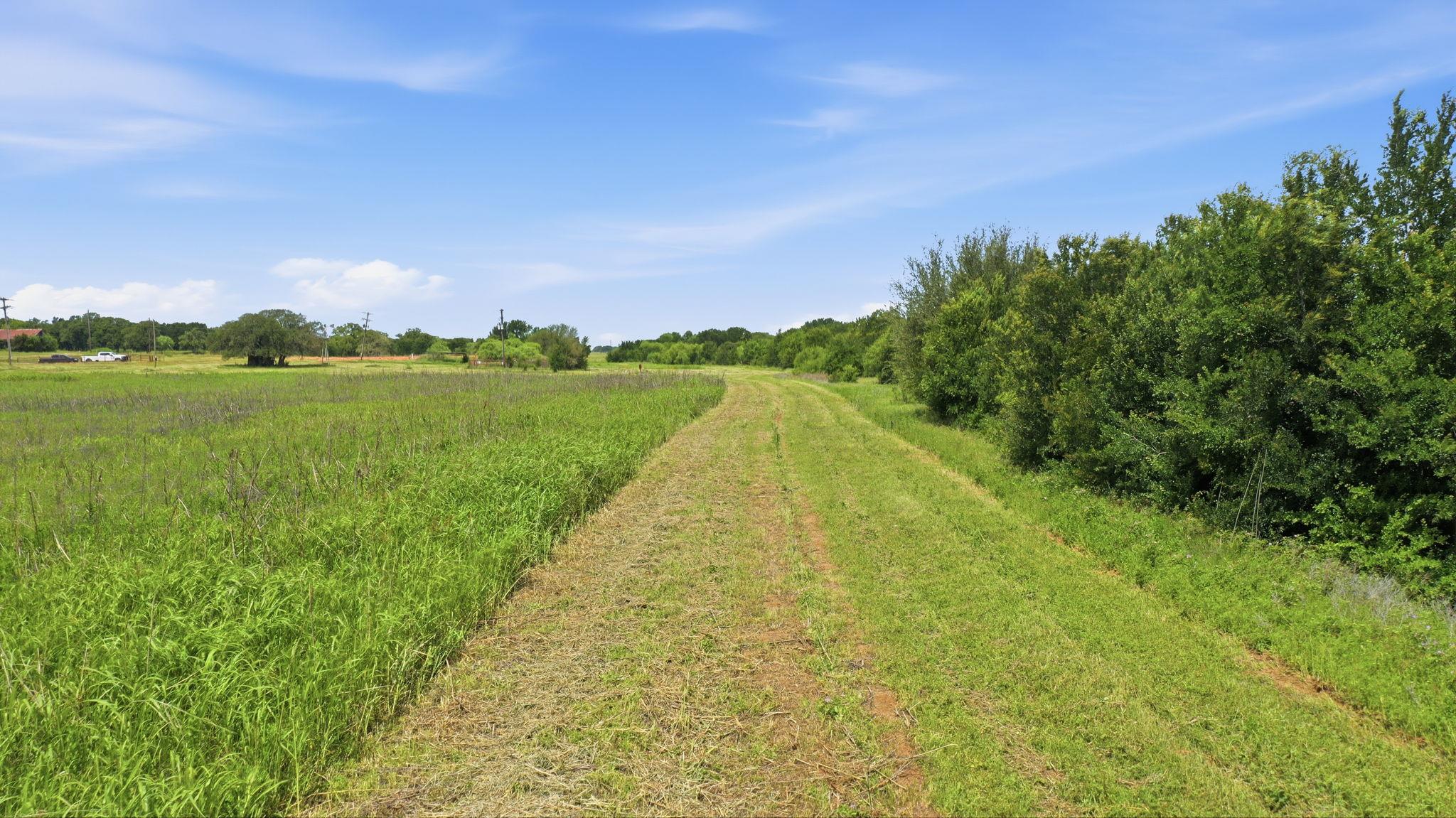 Tbd Cr 495 None Property Photo 17