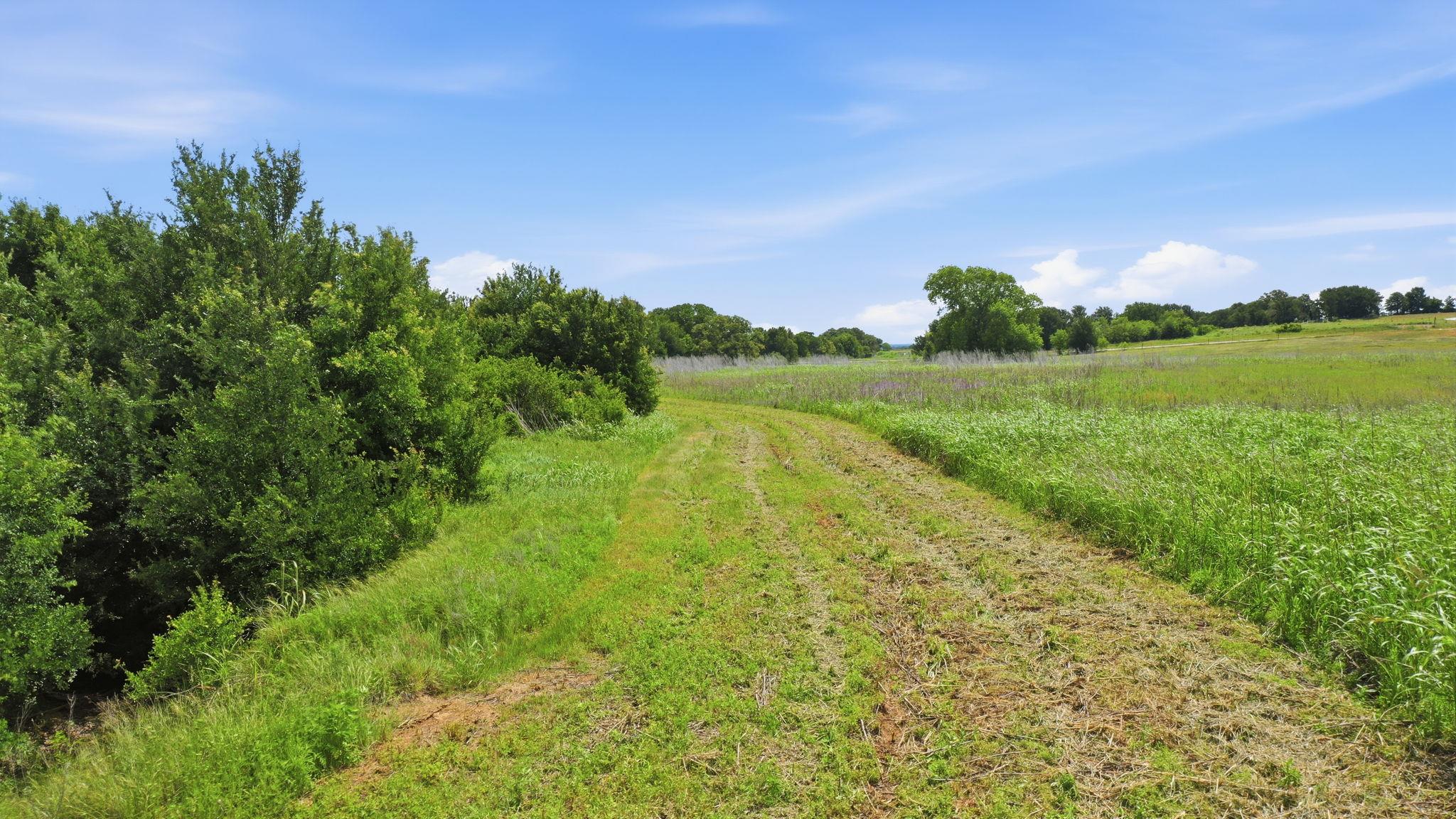 Tbd Cr 495 None Property Photo 18